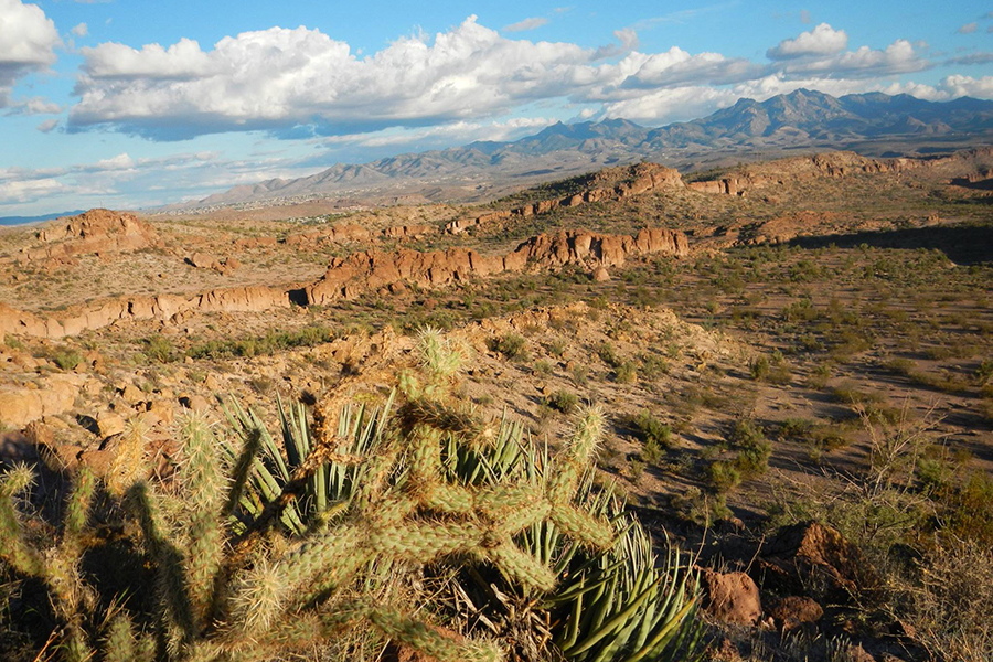 View of the Hualapai Mountains from the Cerbat Foothills