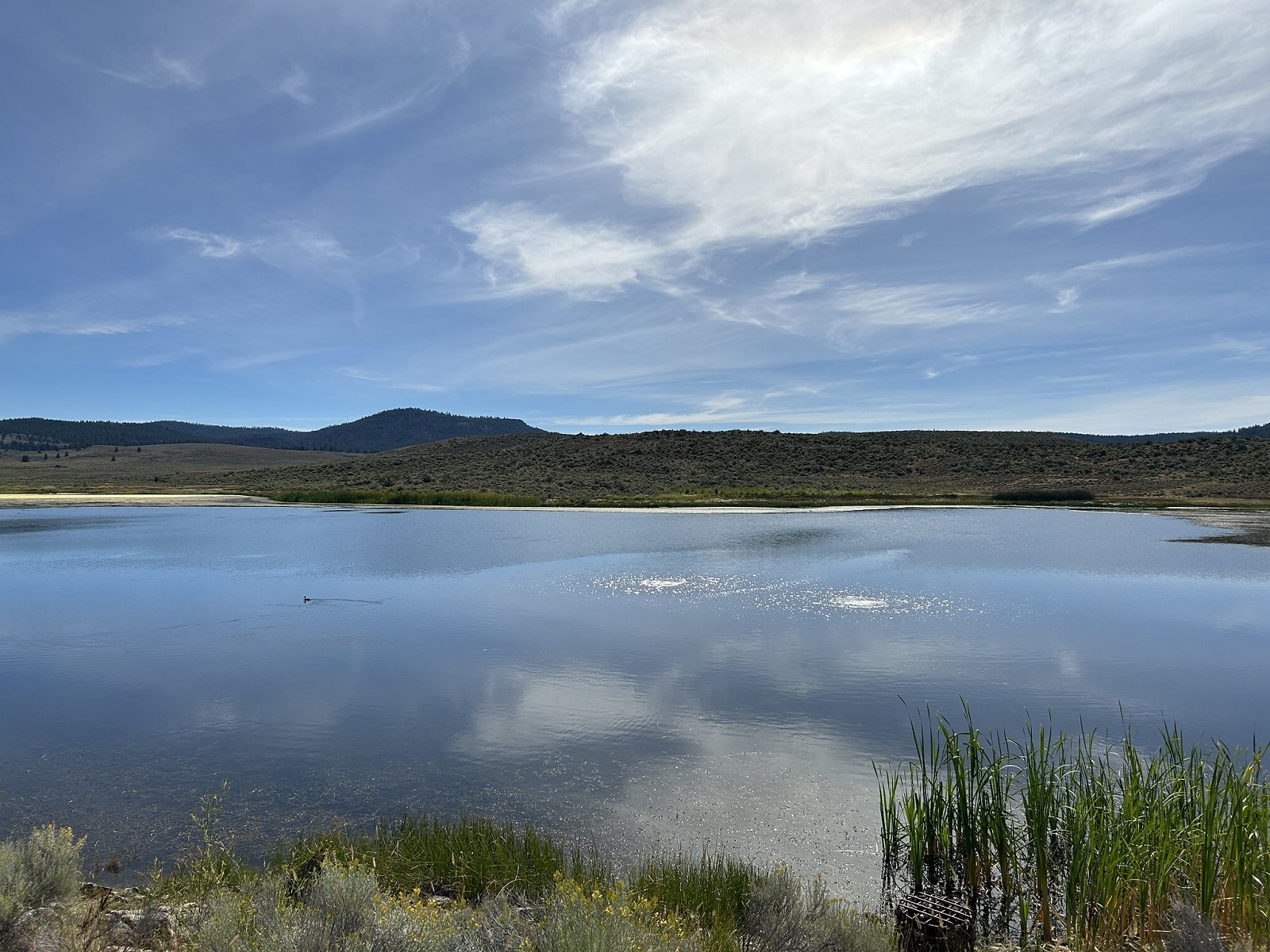 Reservoir at Poison Creek Recreation Site
