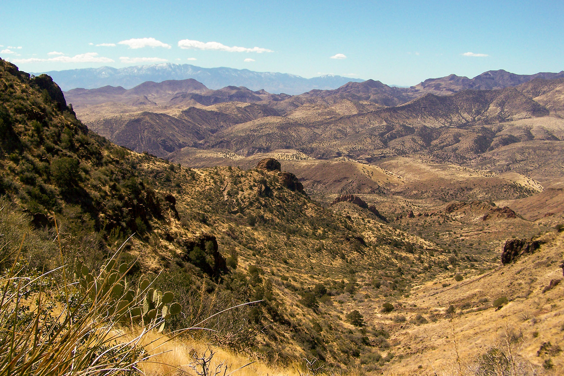 Turtle Mountain Summit