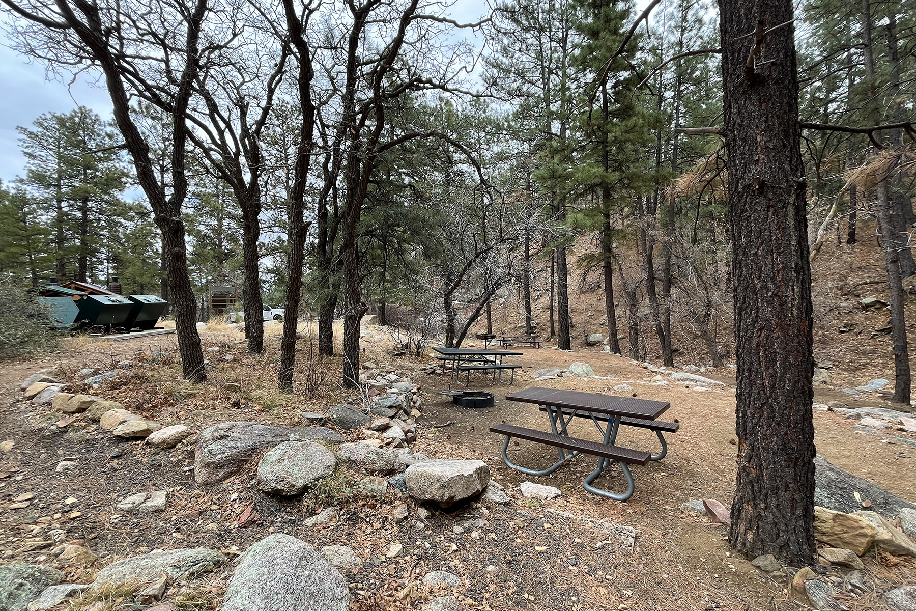 Wild Cow Springs Campground picnic tables