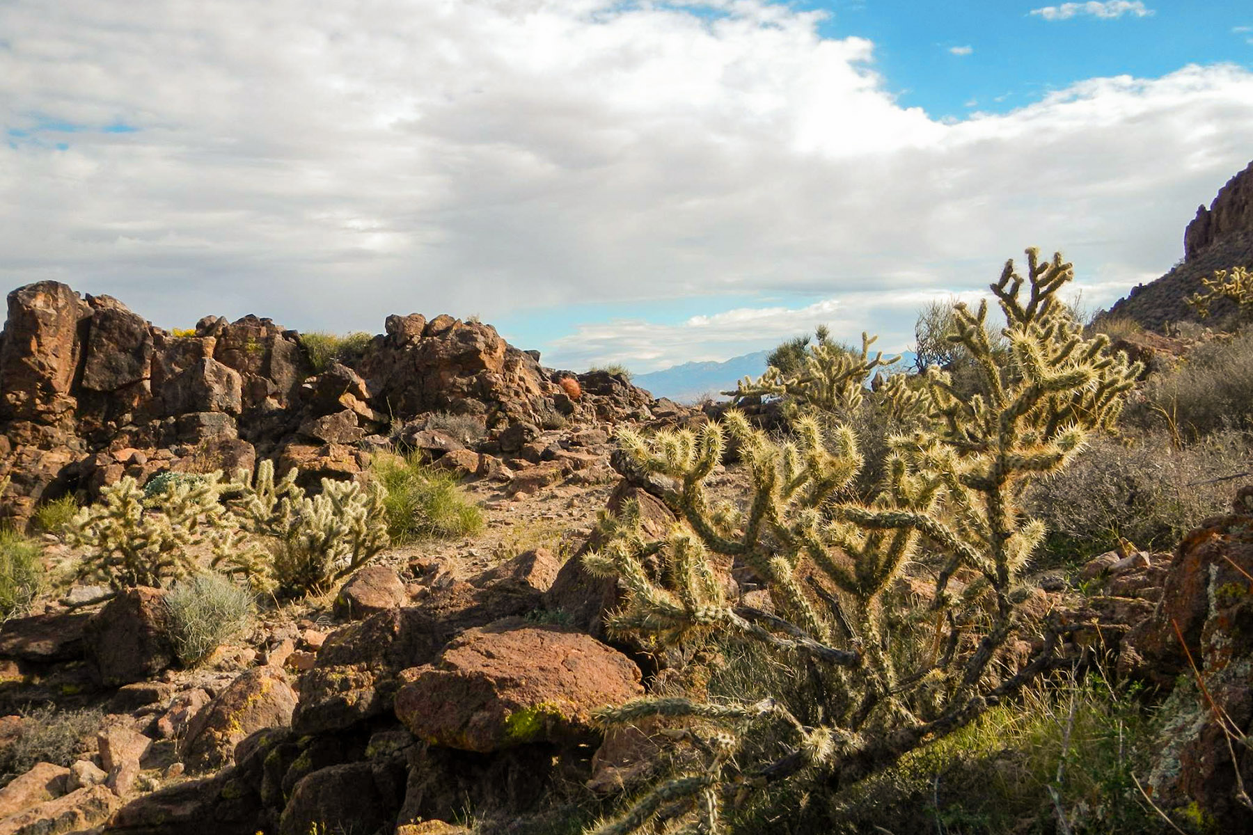 Warm Springs Wilderness