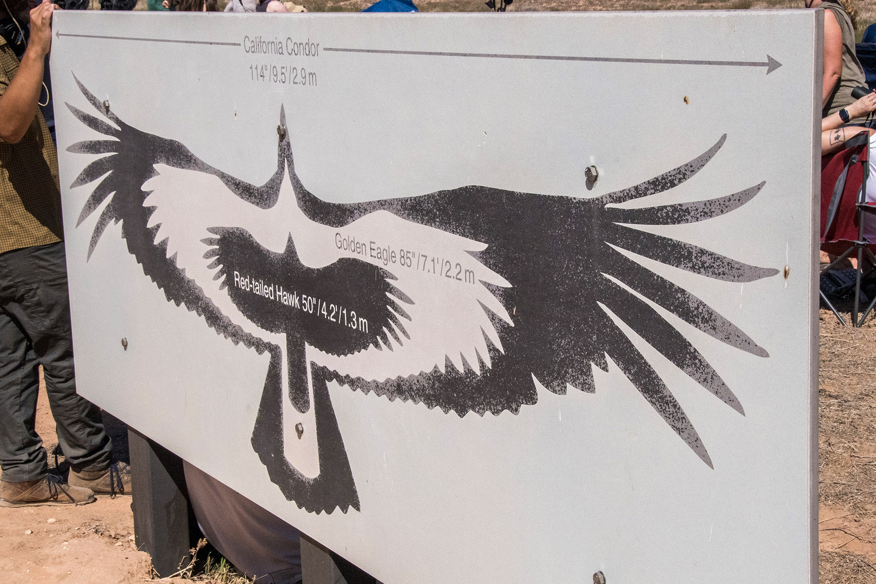 Wingspan interpretive sign