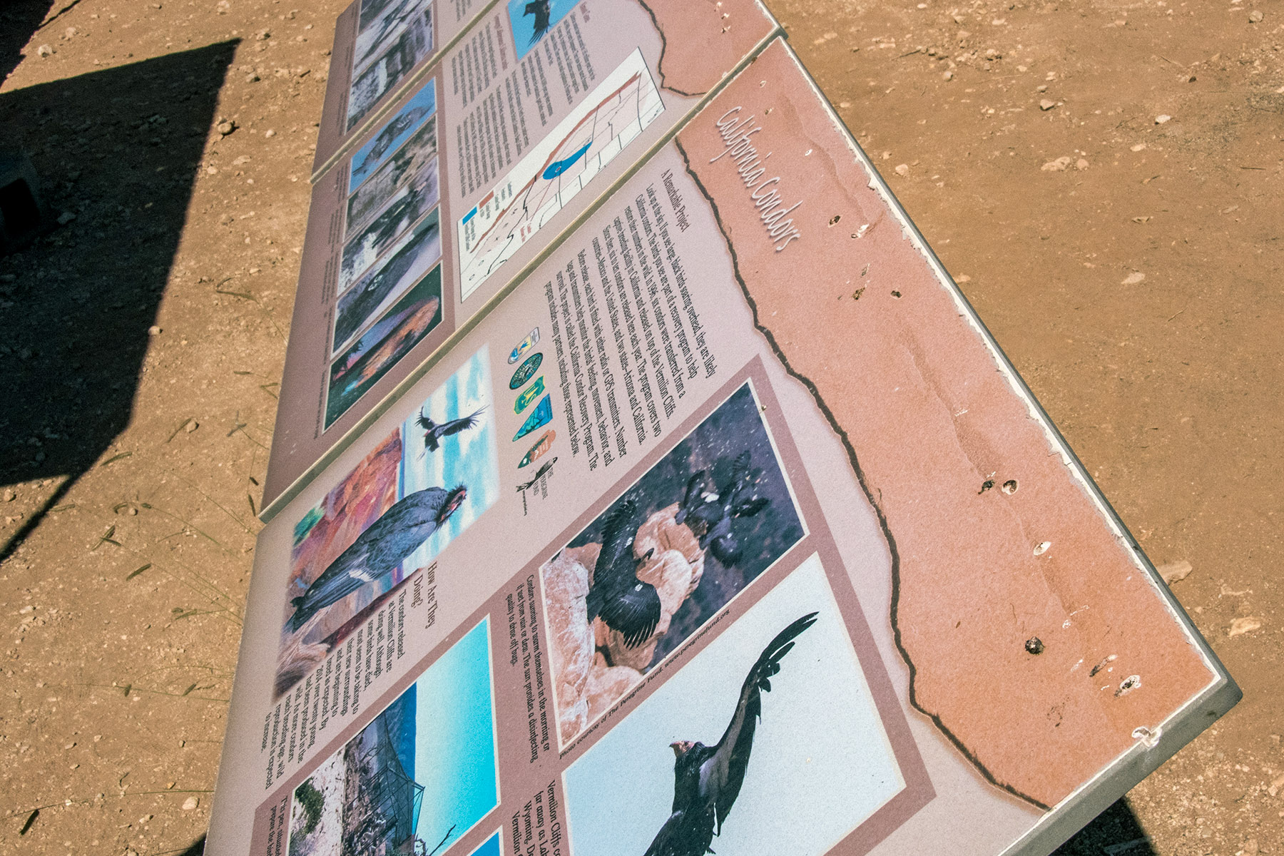 Interpretive sign