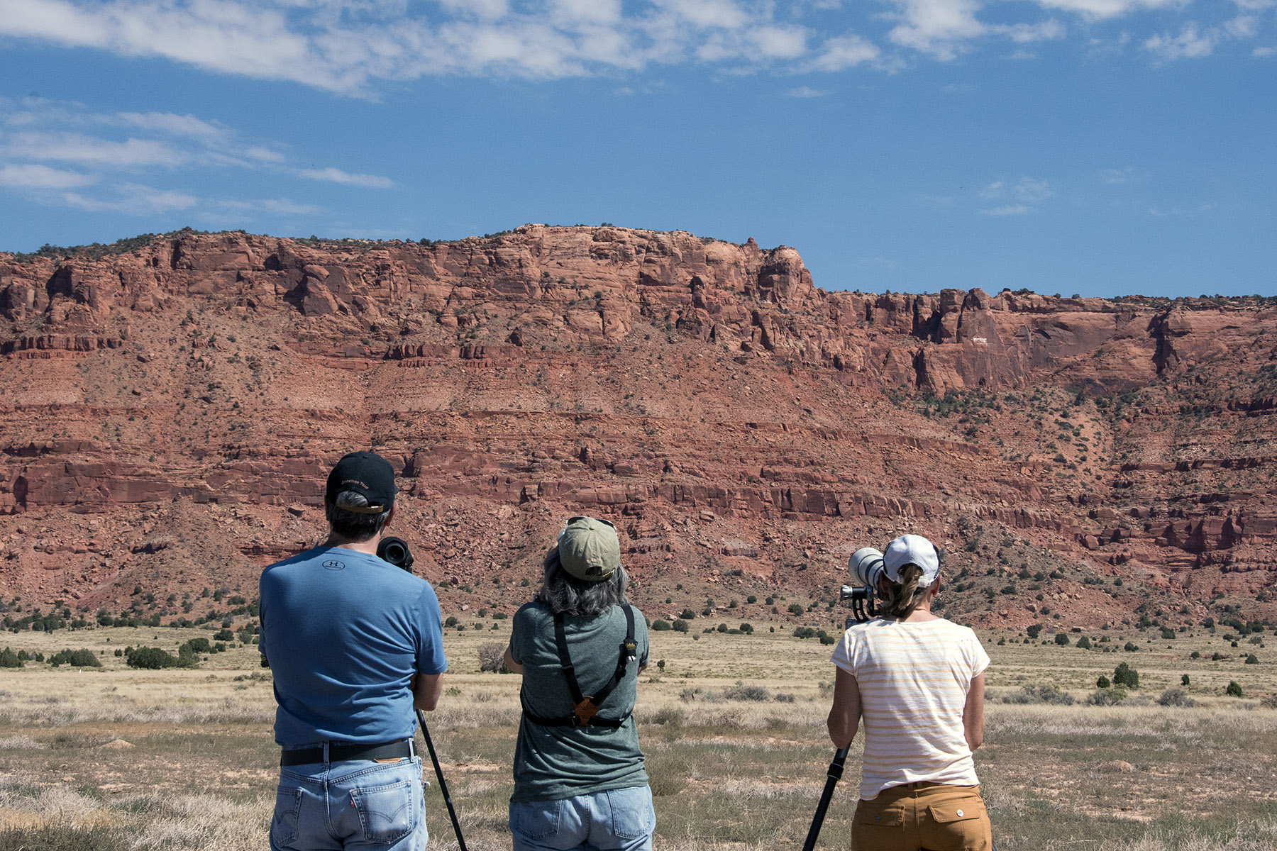 View of the Vermilion Cliffs from the Condor Viewing Site