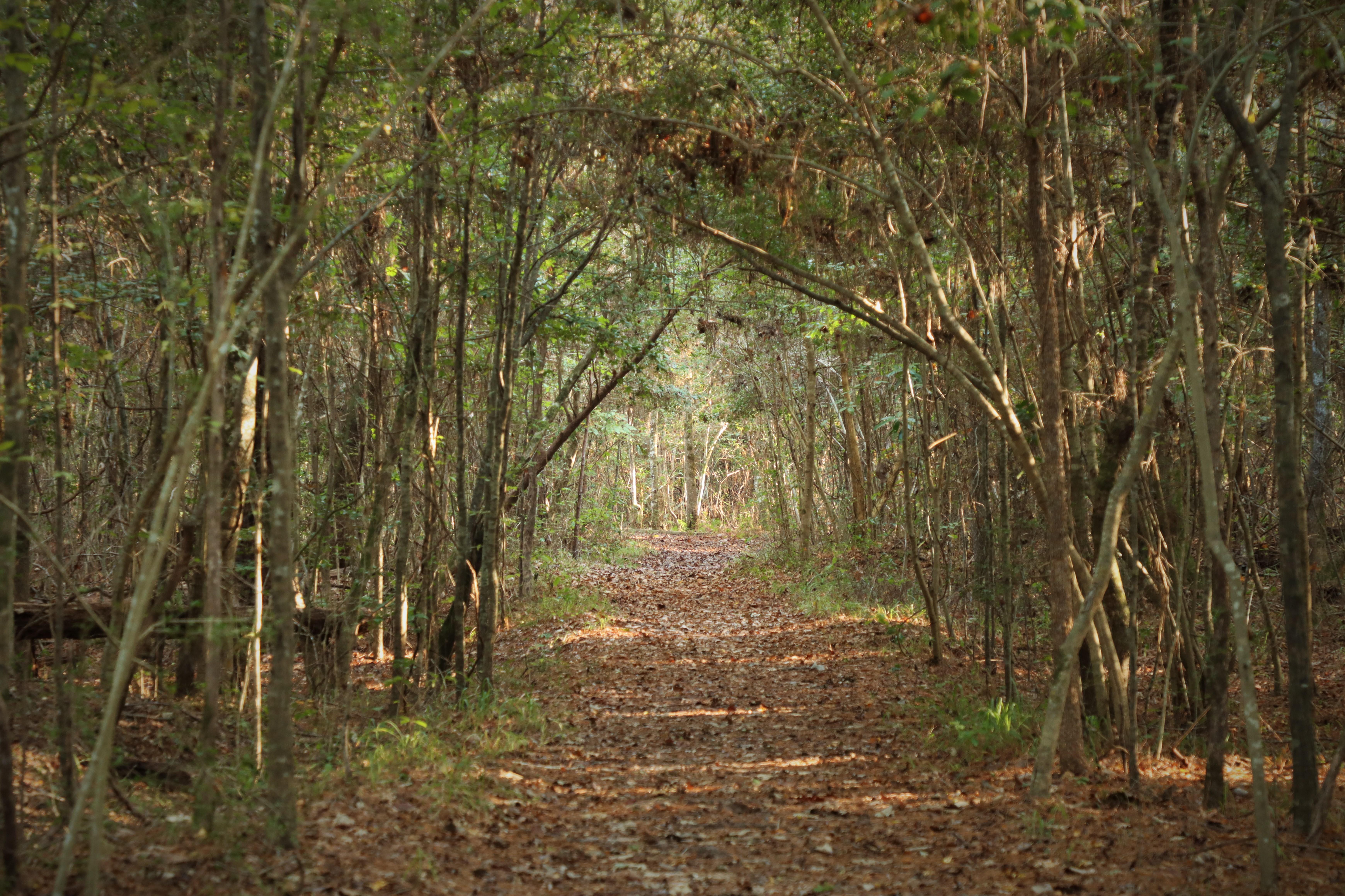 Kirby Nature Trail