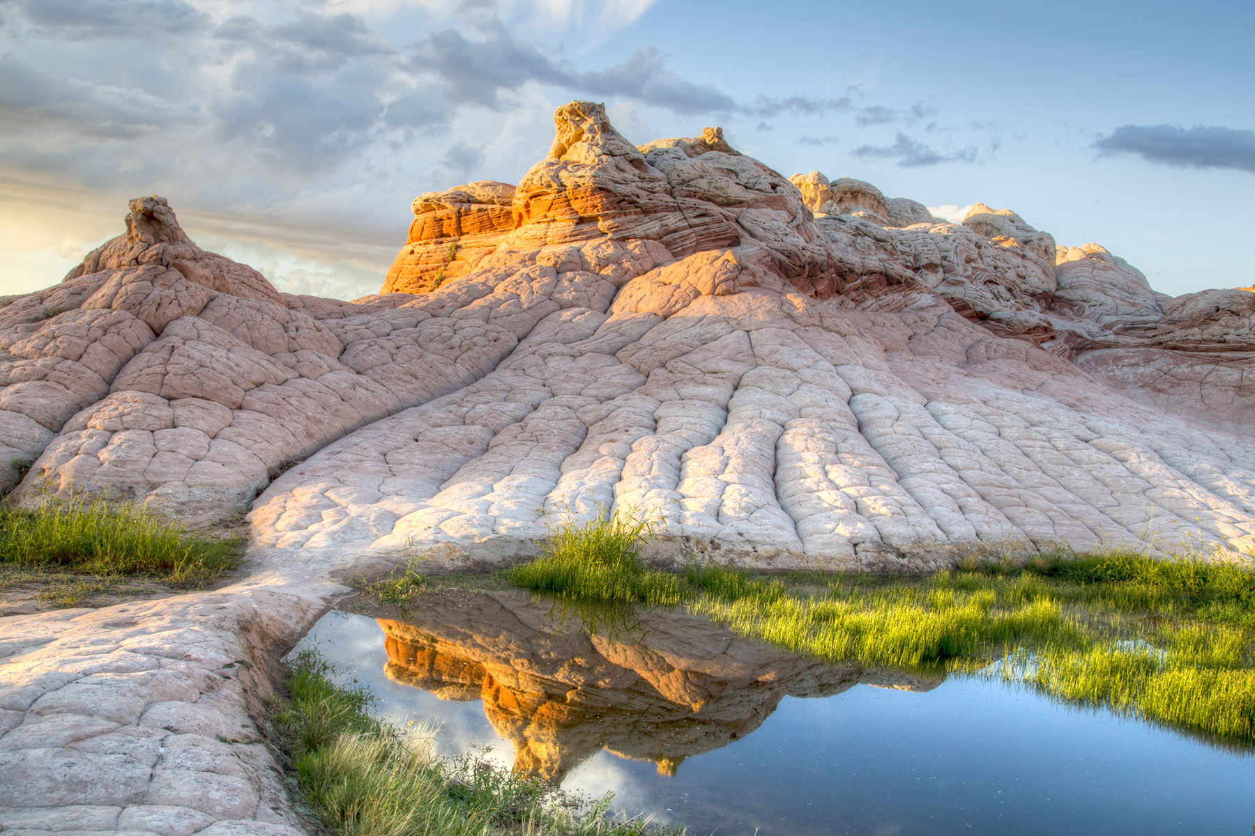 Paria Canyon Dispersed — BLM Kanab Field Office, Kanab UT dispersed campsite