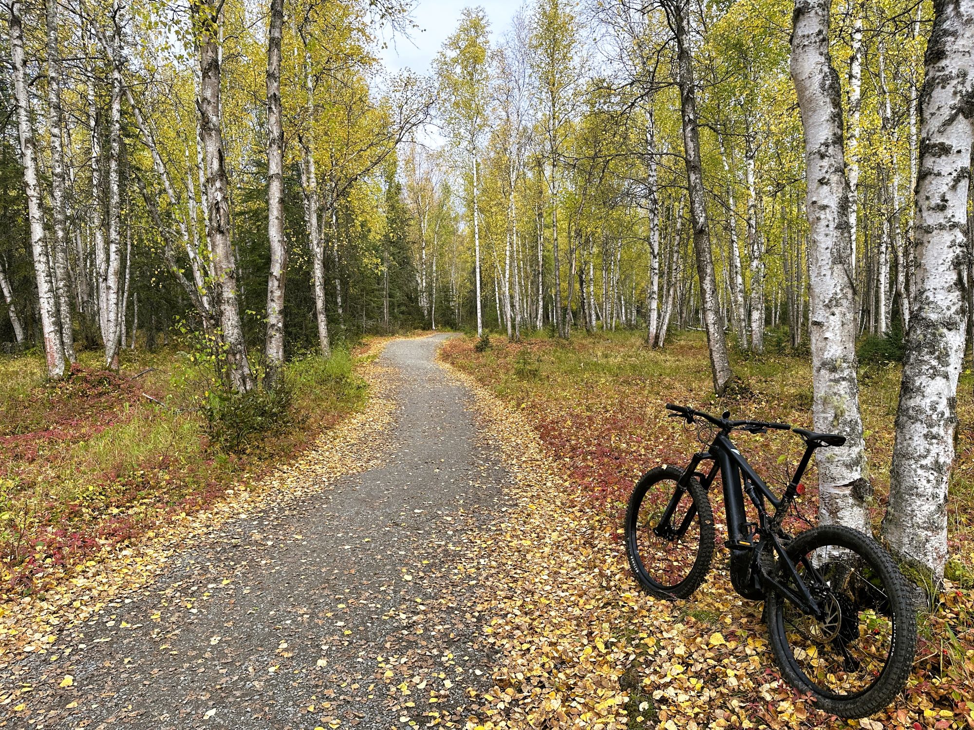 BLM Campbell Tract in the Fall