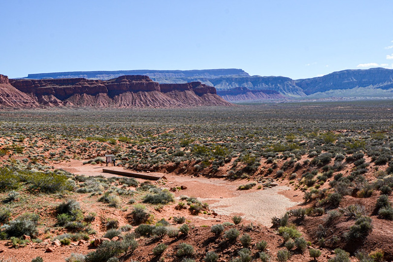 Warner Valley Tracksite