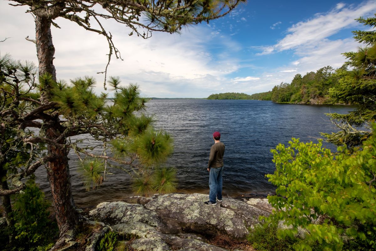 View of the lake from an island