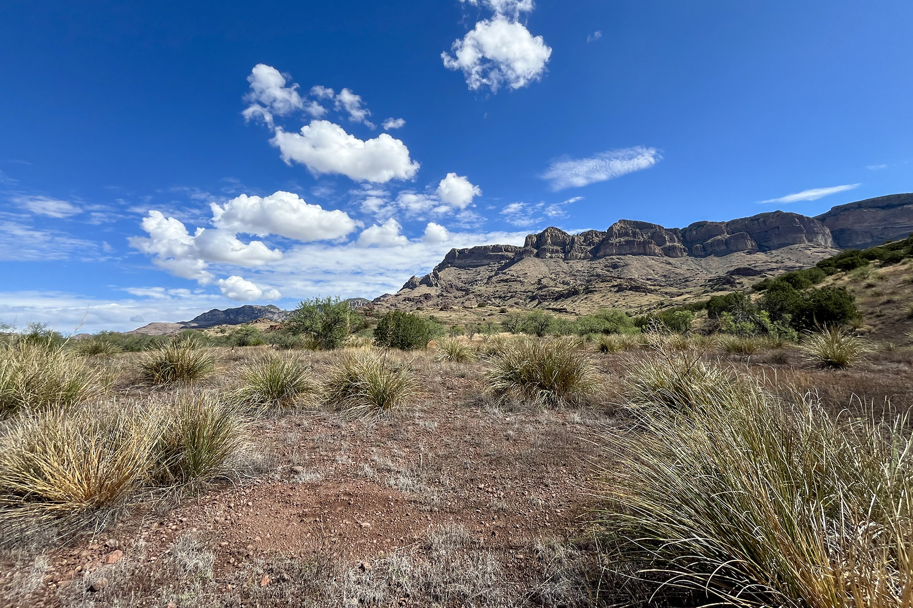 Redfield Canyon Wilderness landscape