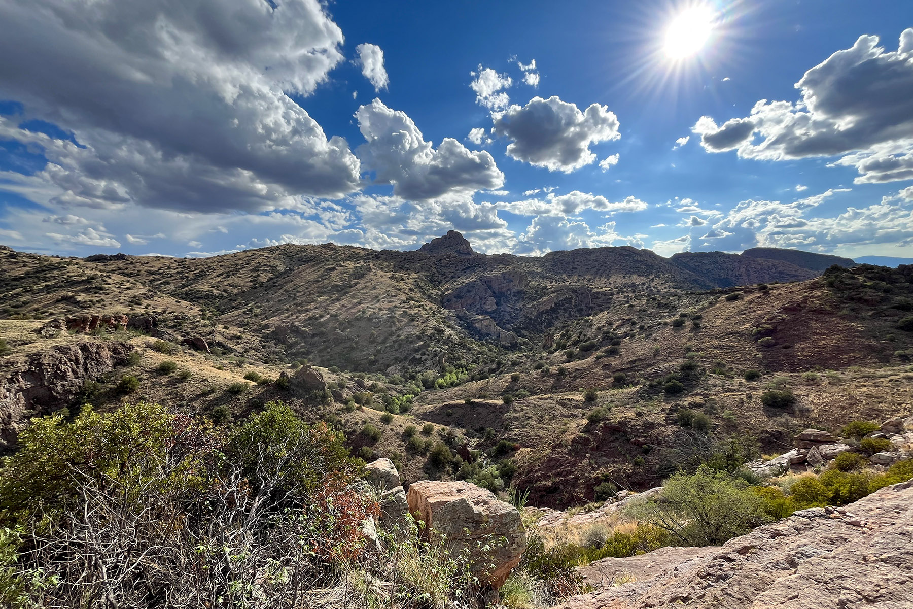 Redfield Canyon Wilderness landscape