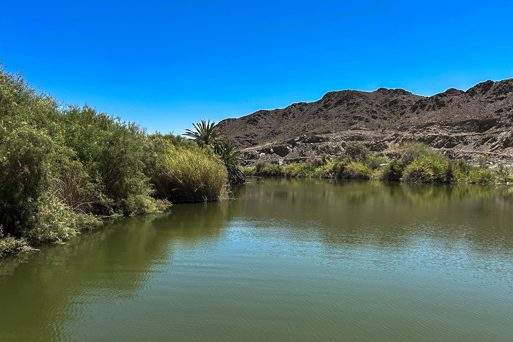 Betty's Kitchen Watchable Wildlife Viewing Area and National Recreation Trail south view