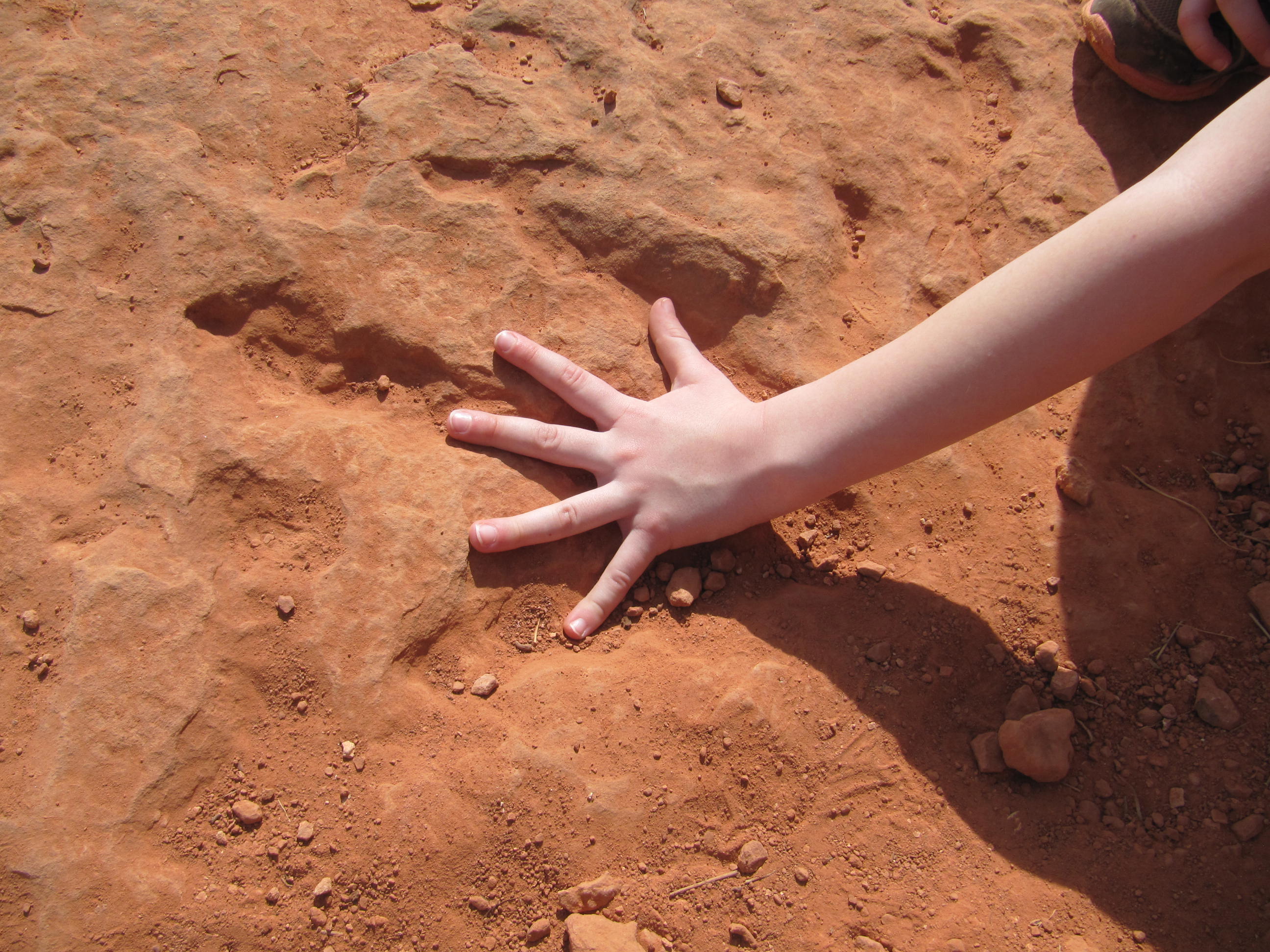 Red Cliff Dinosaur Tracksite