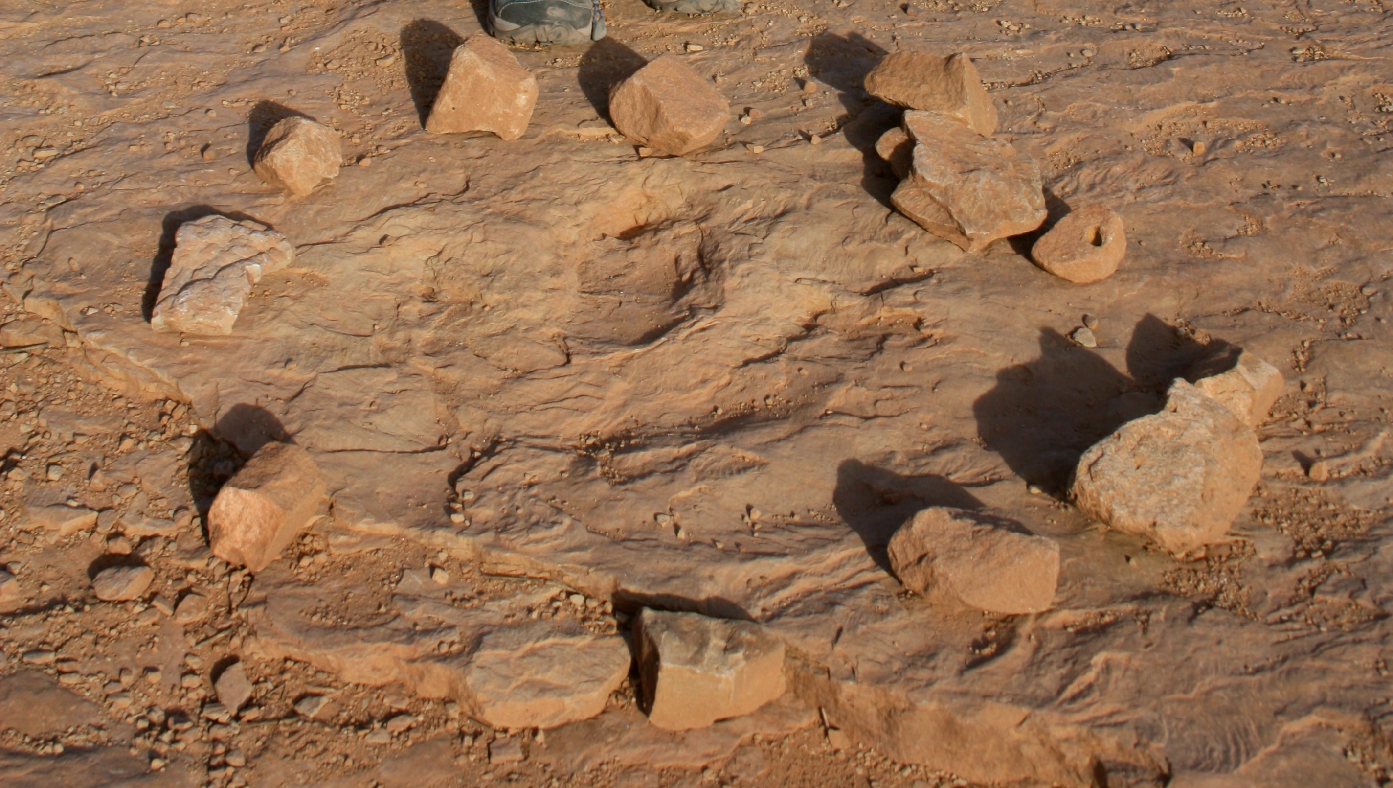 Copper Ridge Dinosaur Tracks Interpretive Site