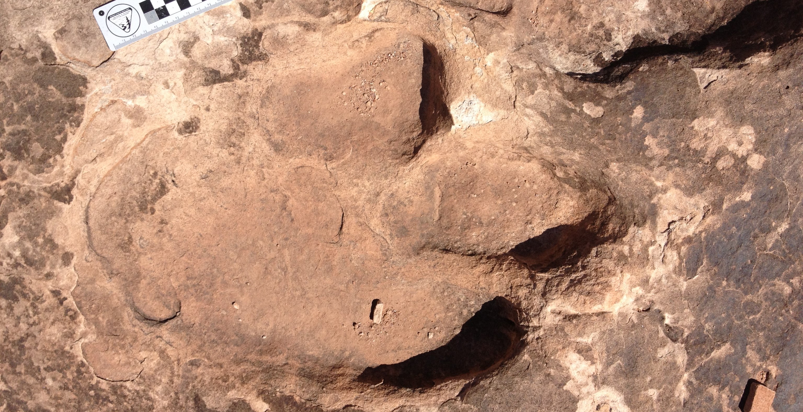 track at Dinosaur Stomping Grounds