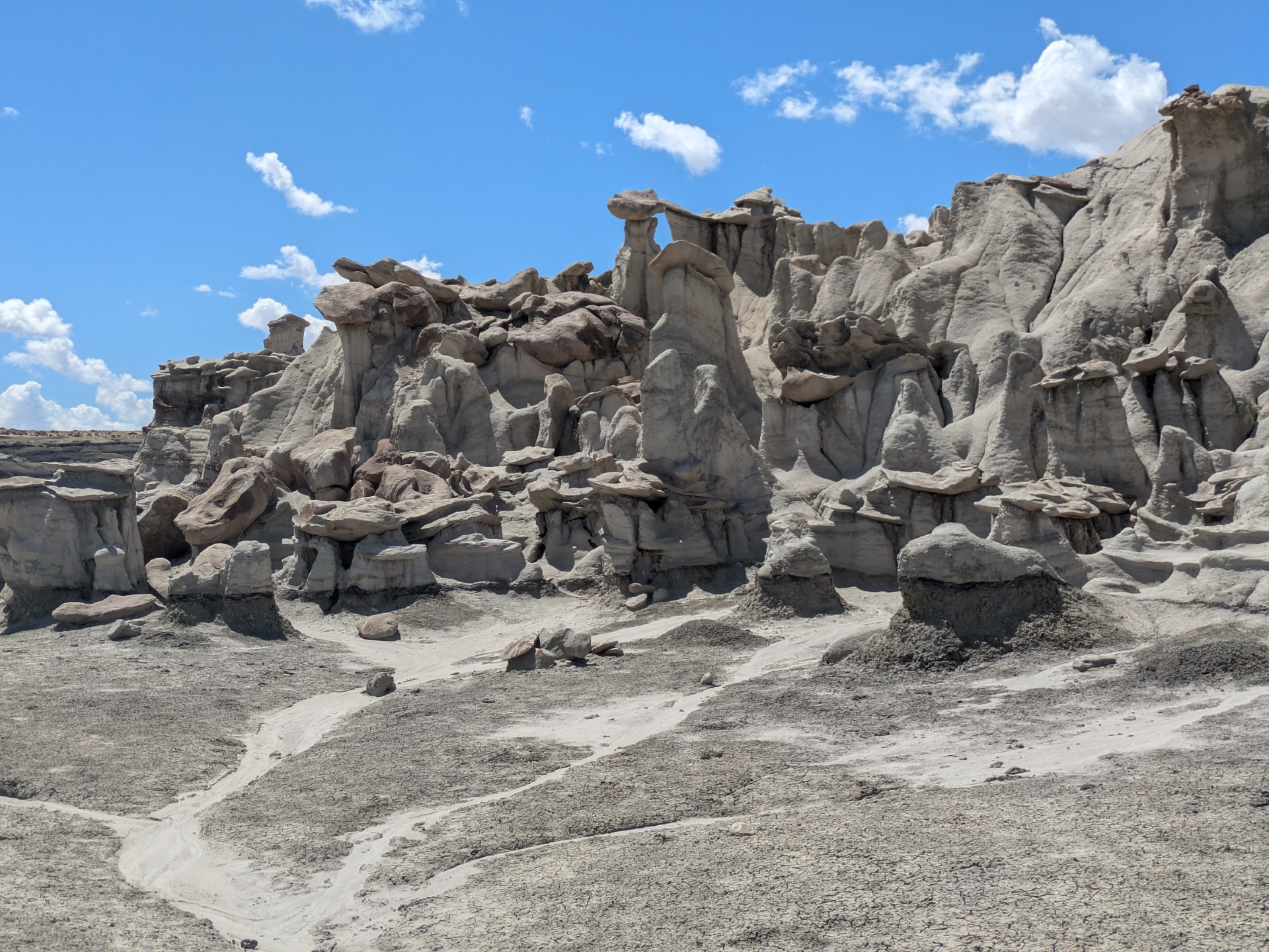 Bisti/De-Na-Zin Wilderness
