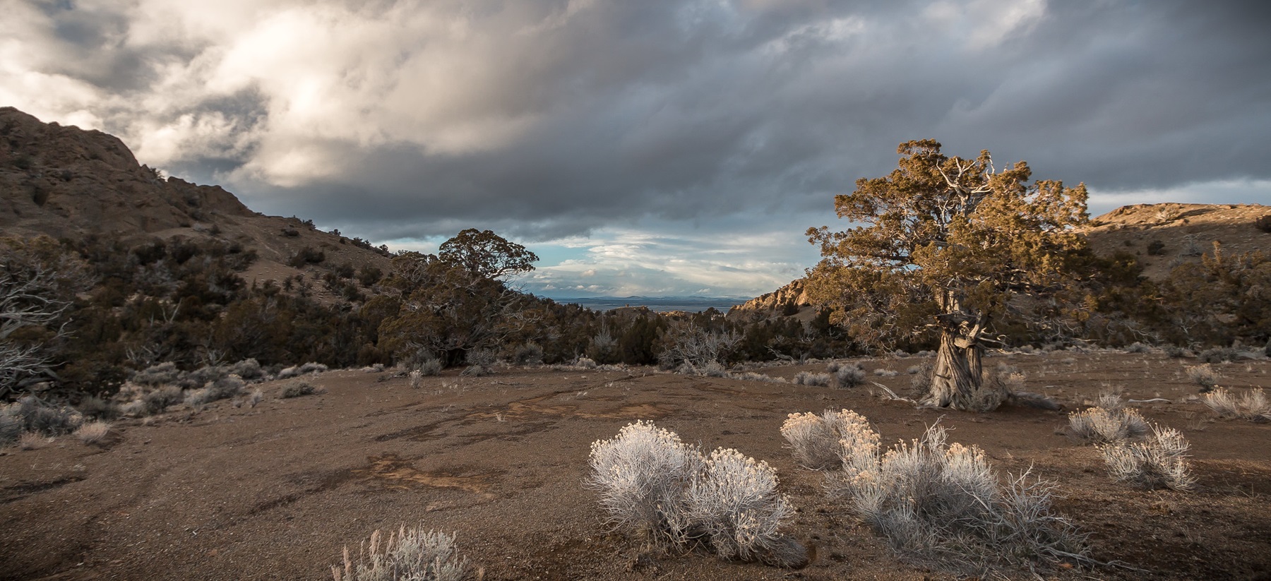 Sunset view of high desert landscape atop the Black Hills ACEC