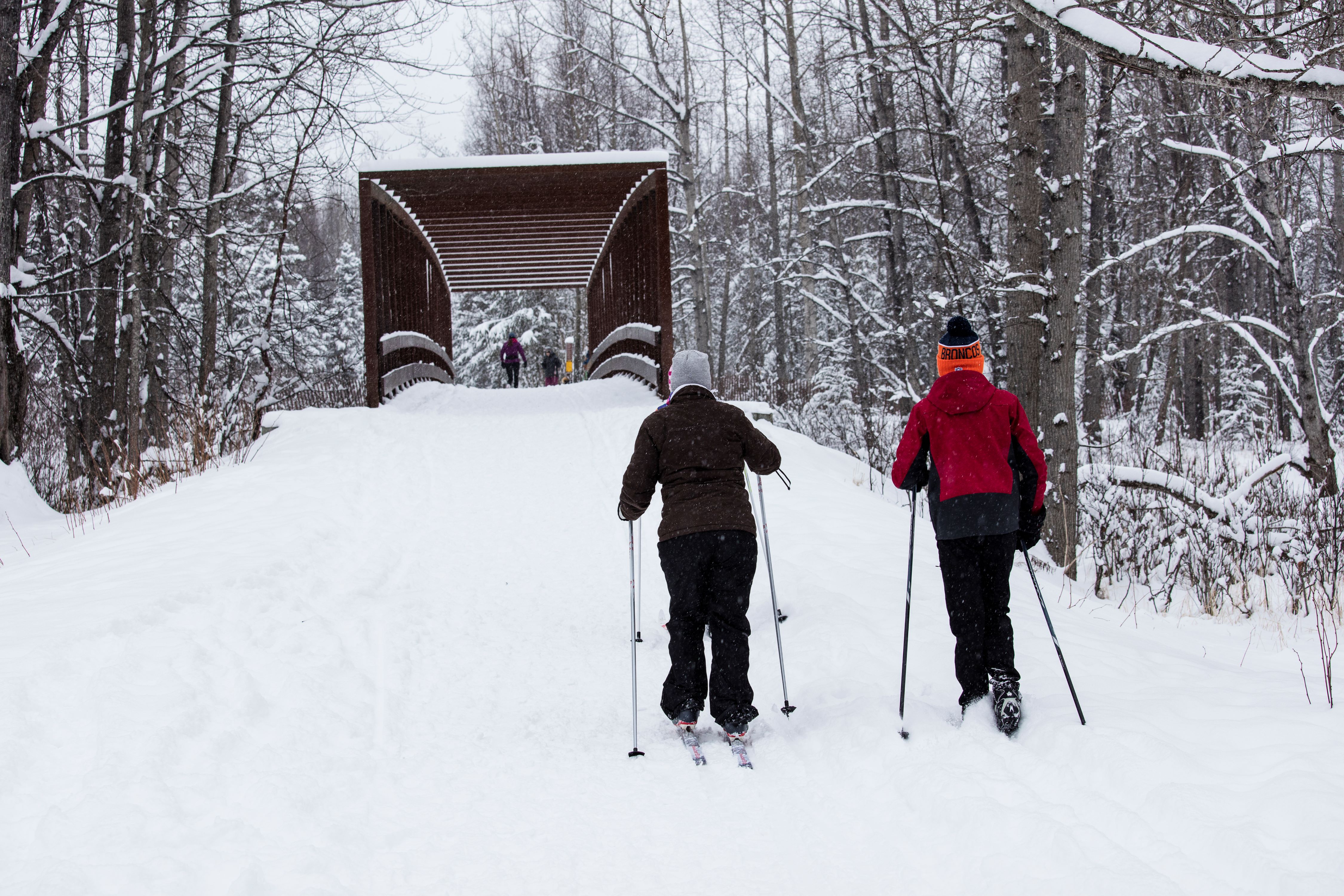 Winter skiing on Campbell Tract