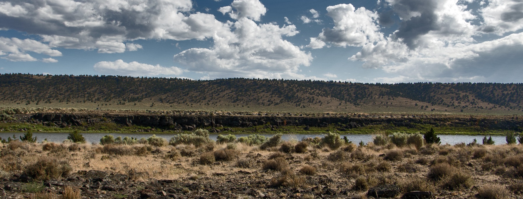 Chickahominy Recreation Site on a sunny summer afternoon