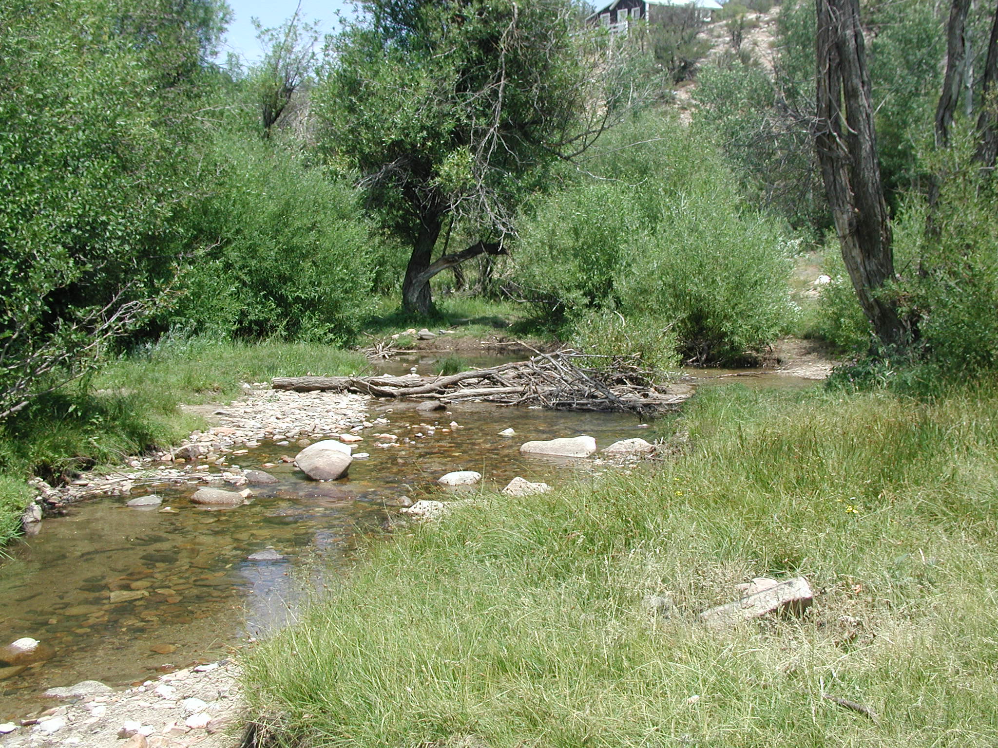 Silver City Campground