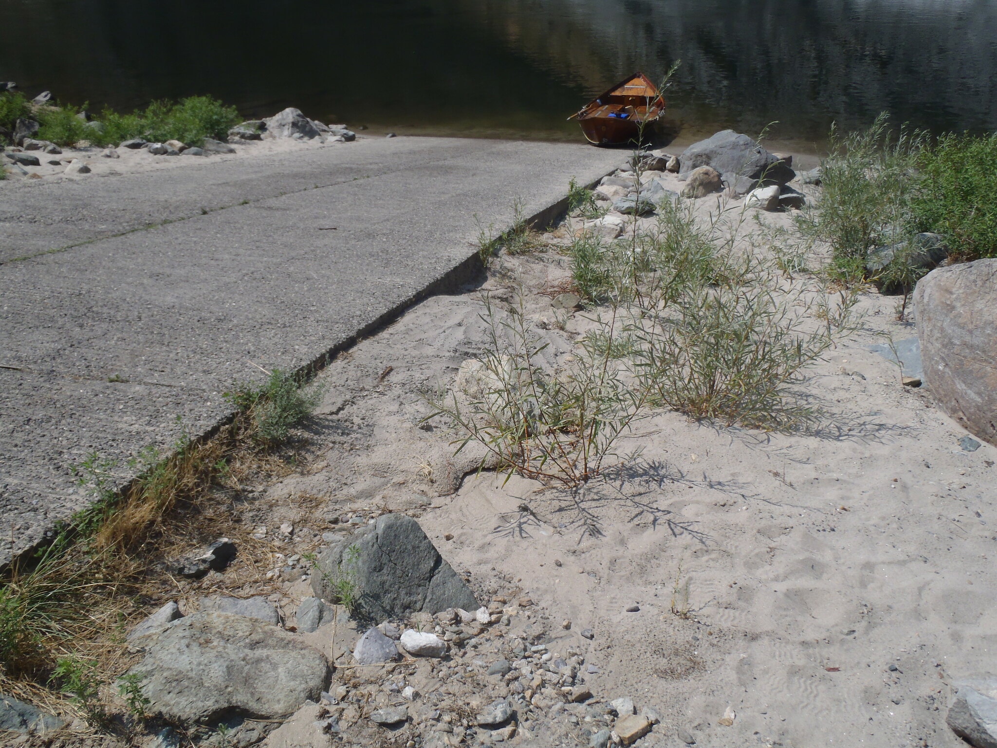 River access at Old Lucile