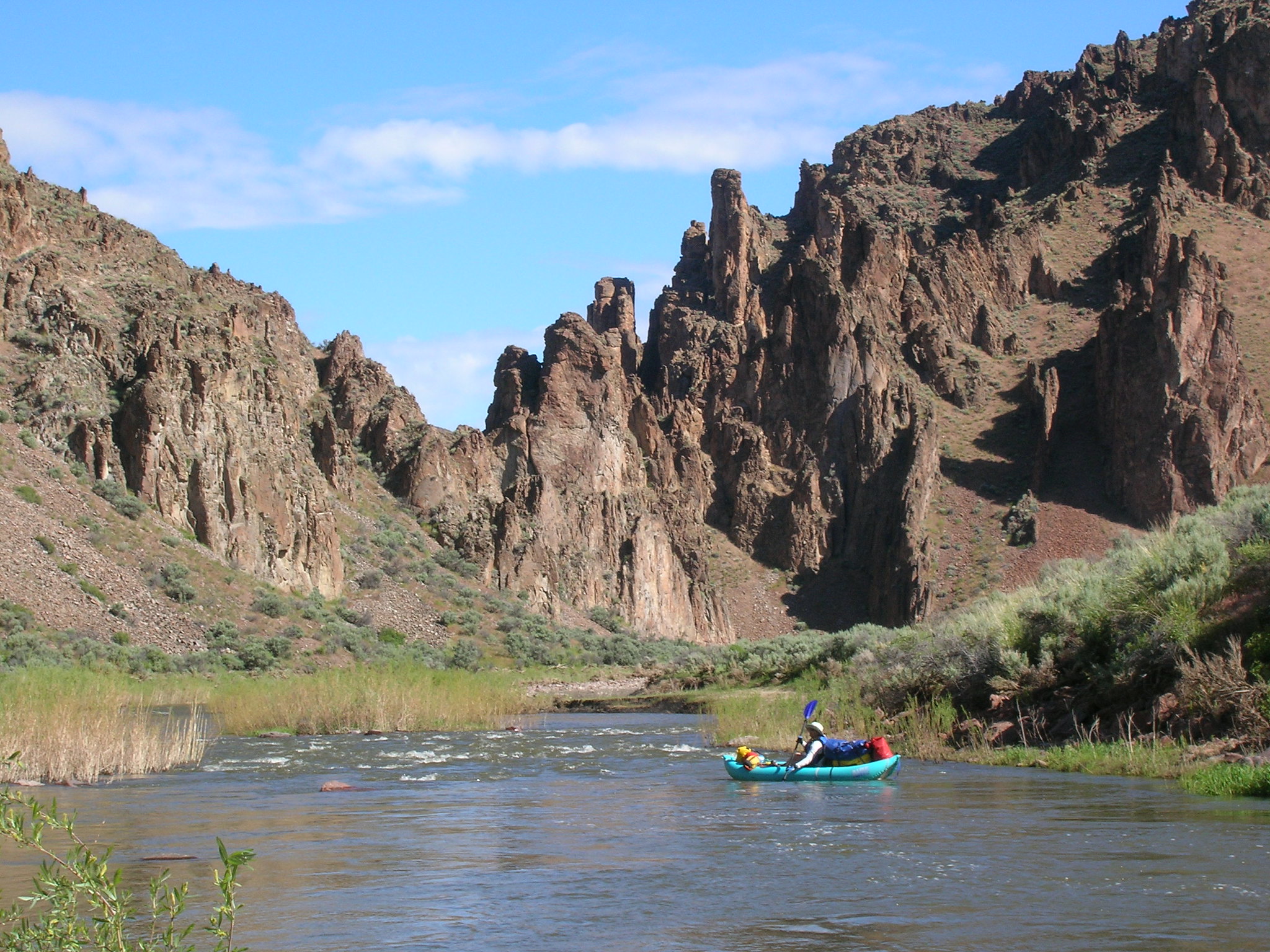 South Fork Owyhee