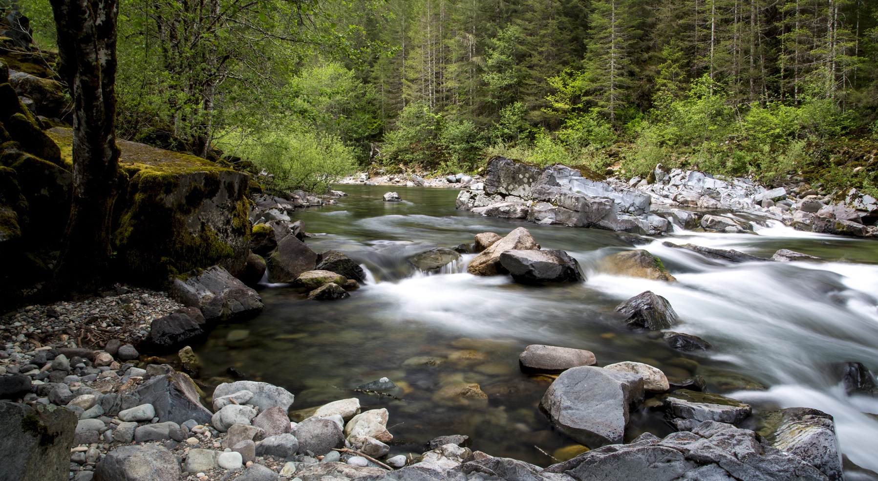 Quartzville Creek Wild and Scenic River
