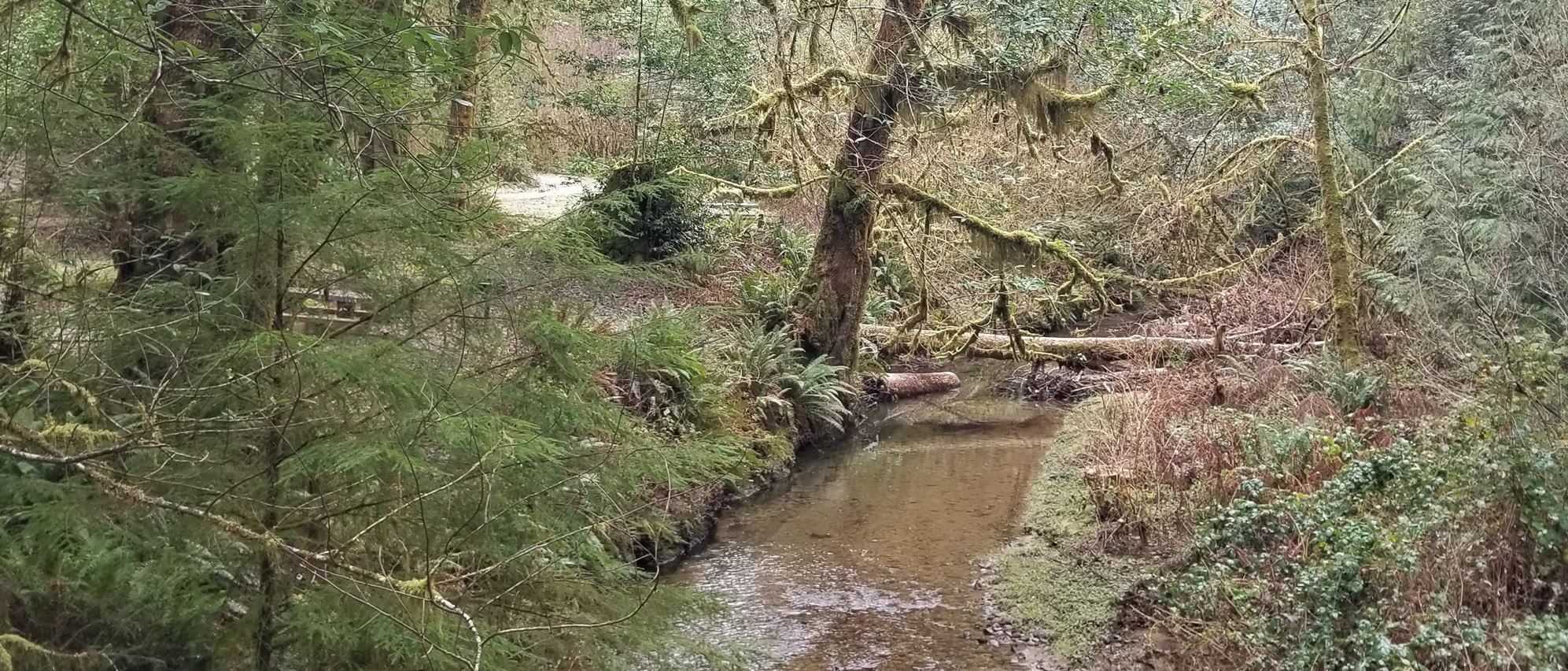 Park Creek Campground