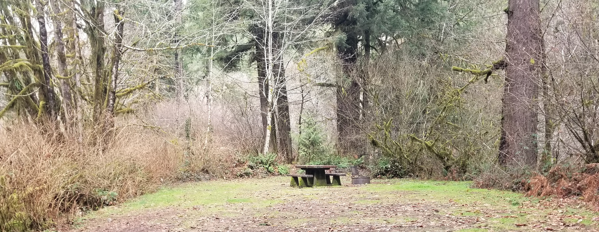 Vincent Creek Campground