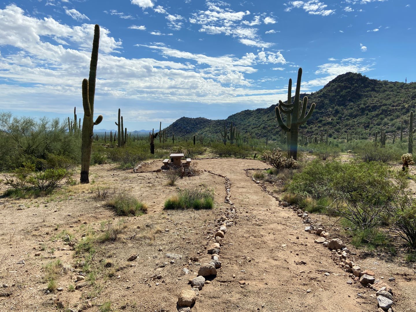Estrella Wayside Campsite