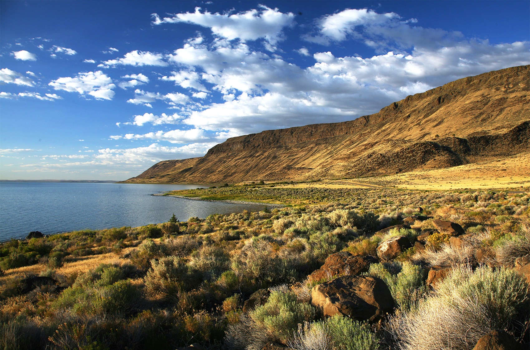 Lake Abert and Abert Rim
