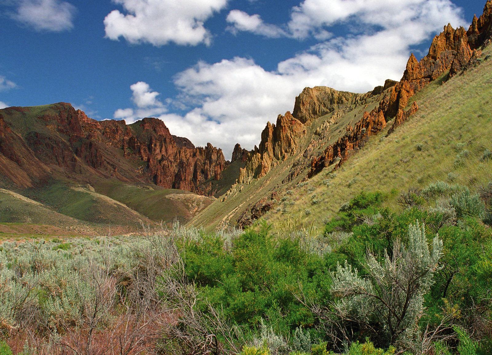Leslie Gulch Area of Critical Environmental Concern