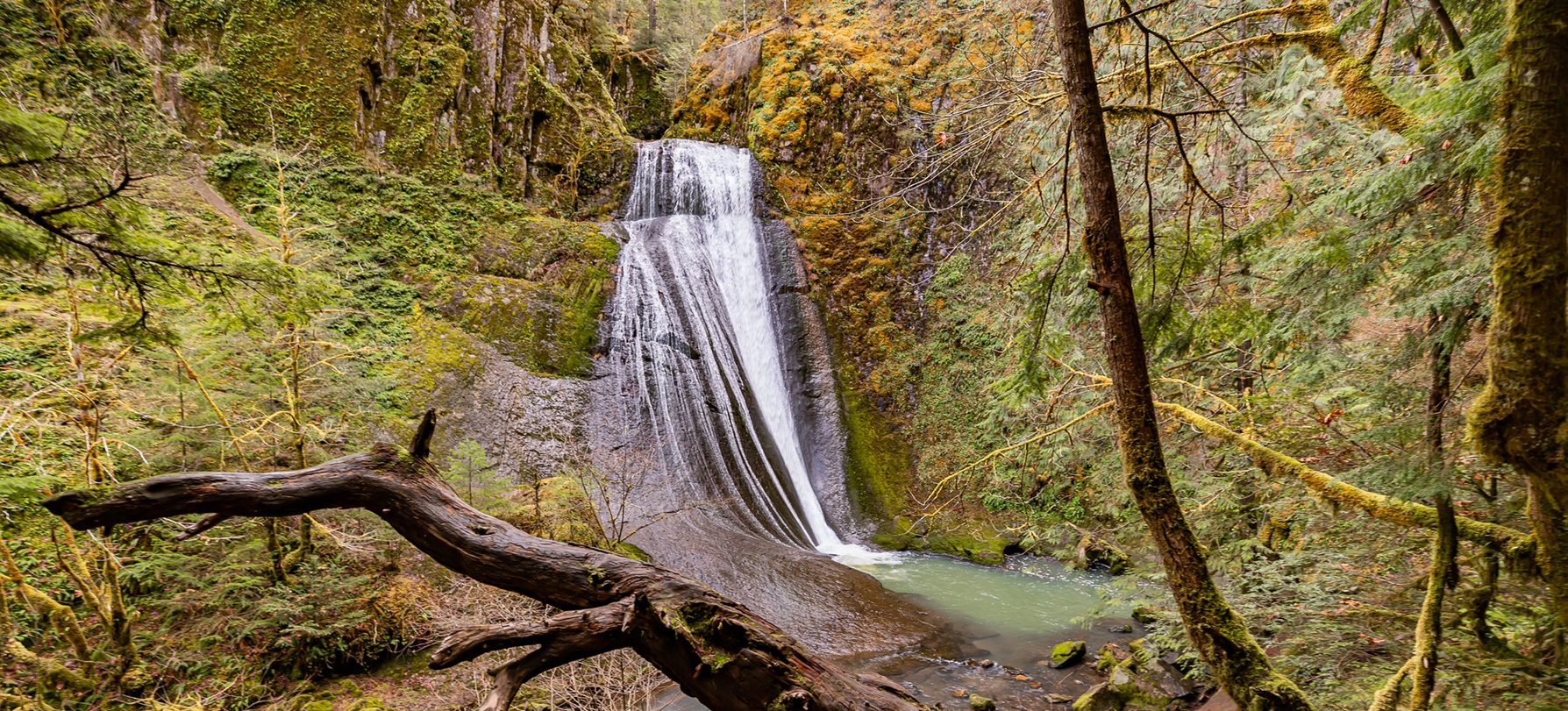 Wolf Creek Falls