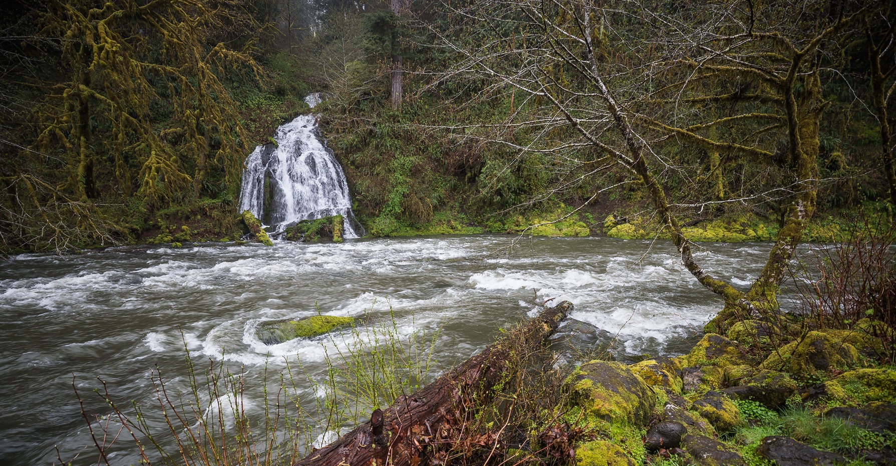 Springtime view of Alder Glen Falls and the Nestucca Wild and Scenic River at the Alder Glen Recreation Site