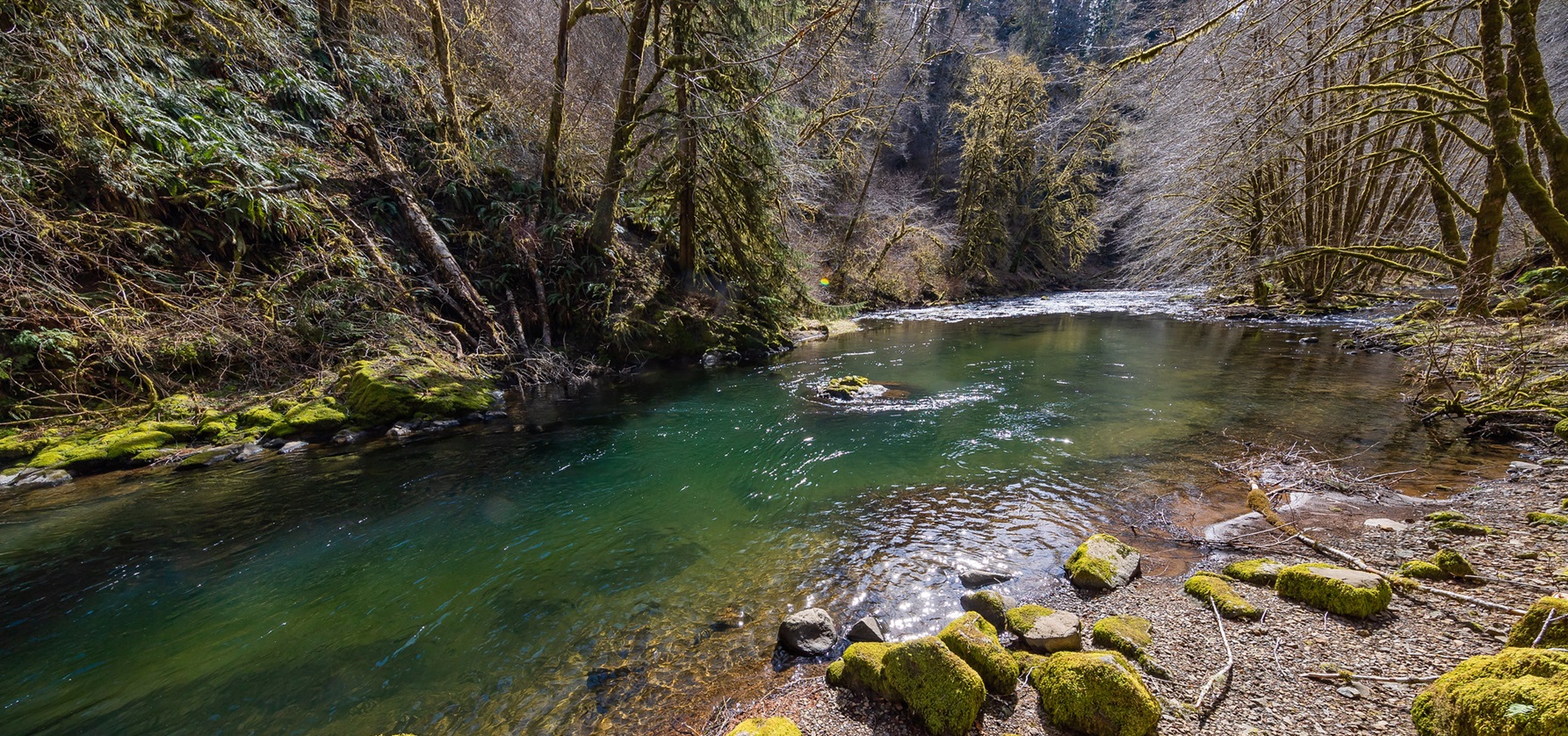 Late-winter view of the Nestucca Wild and Scenic River