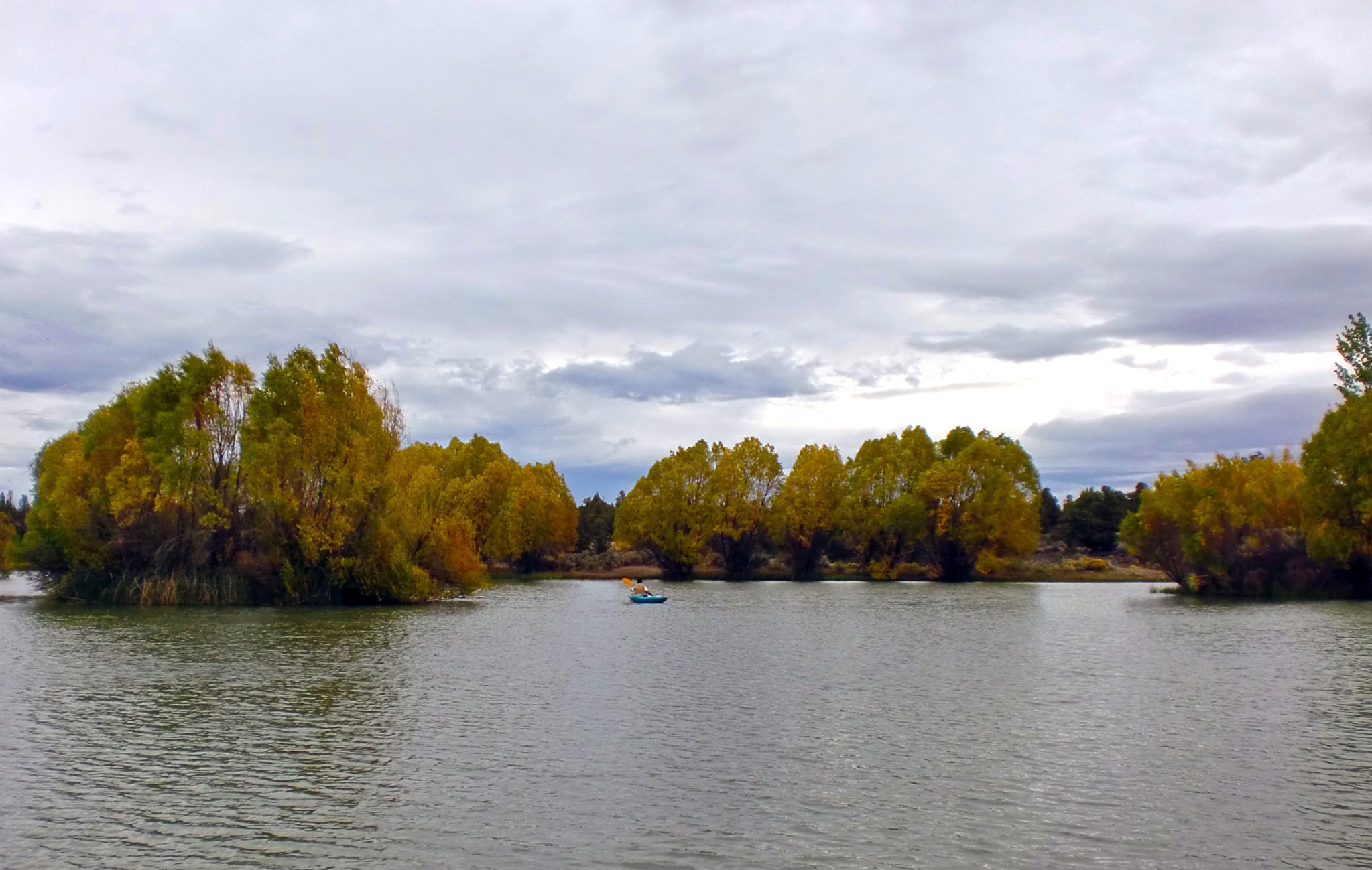 Reynolds Pond
