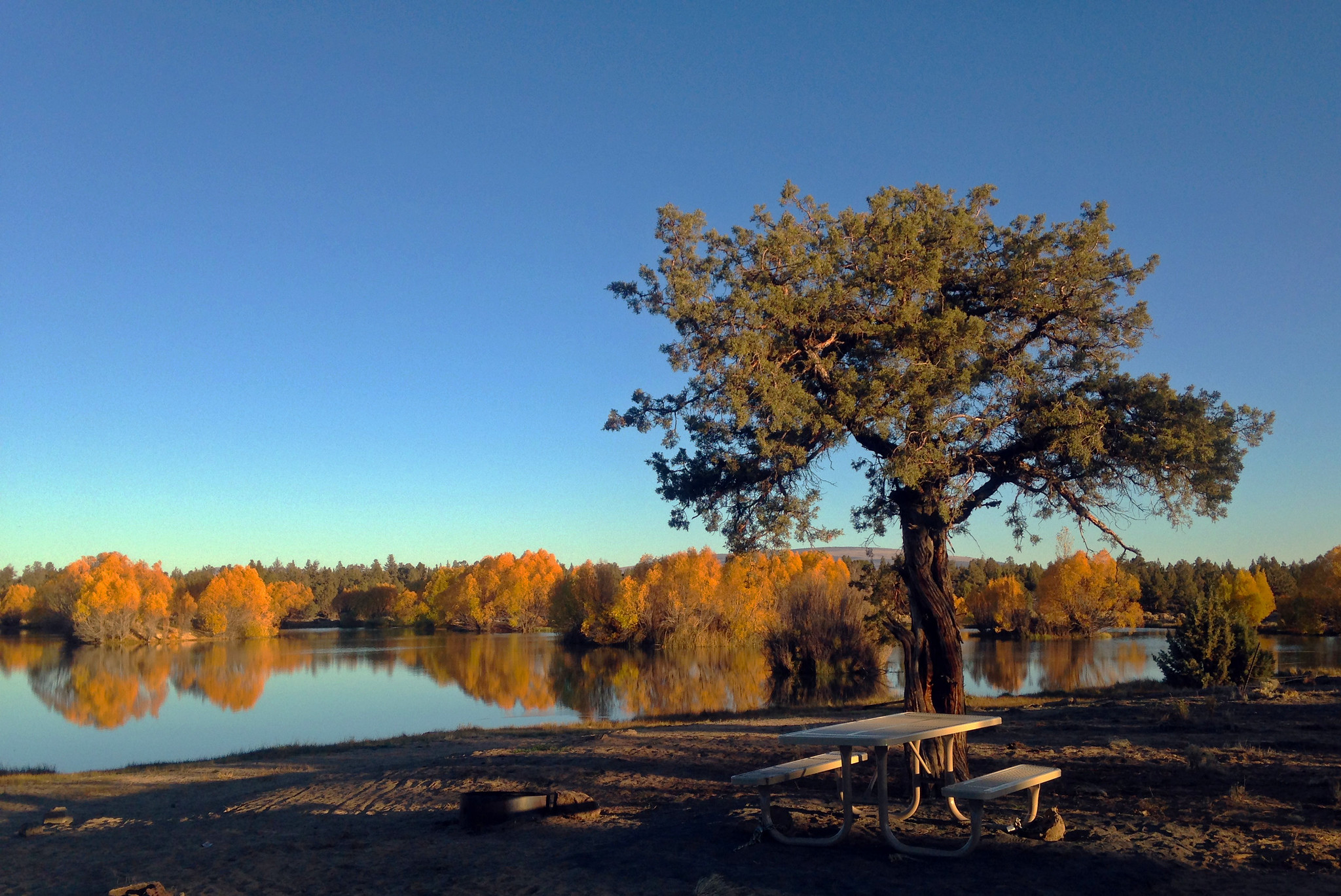 Reynolds Pond
