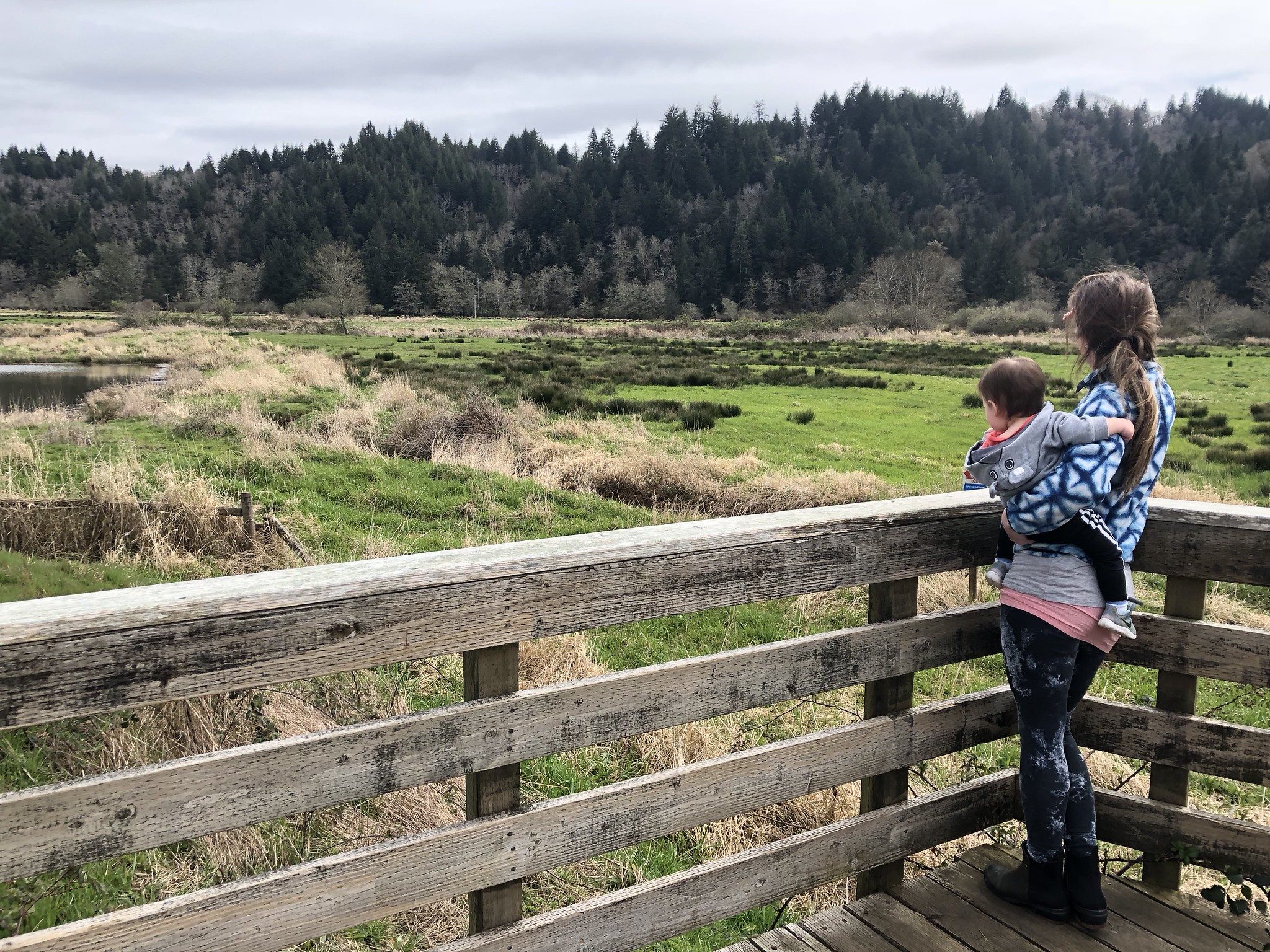 Dean Creek Elk Viewing Area