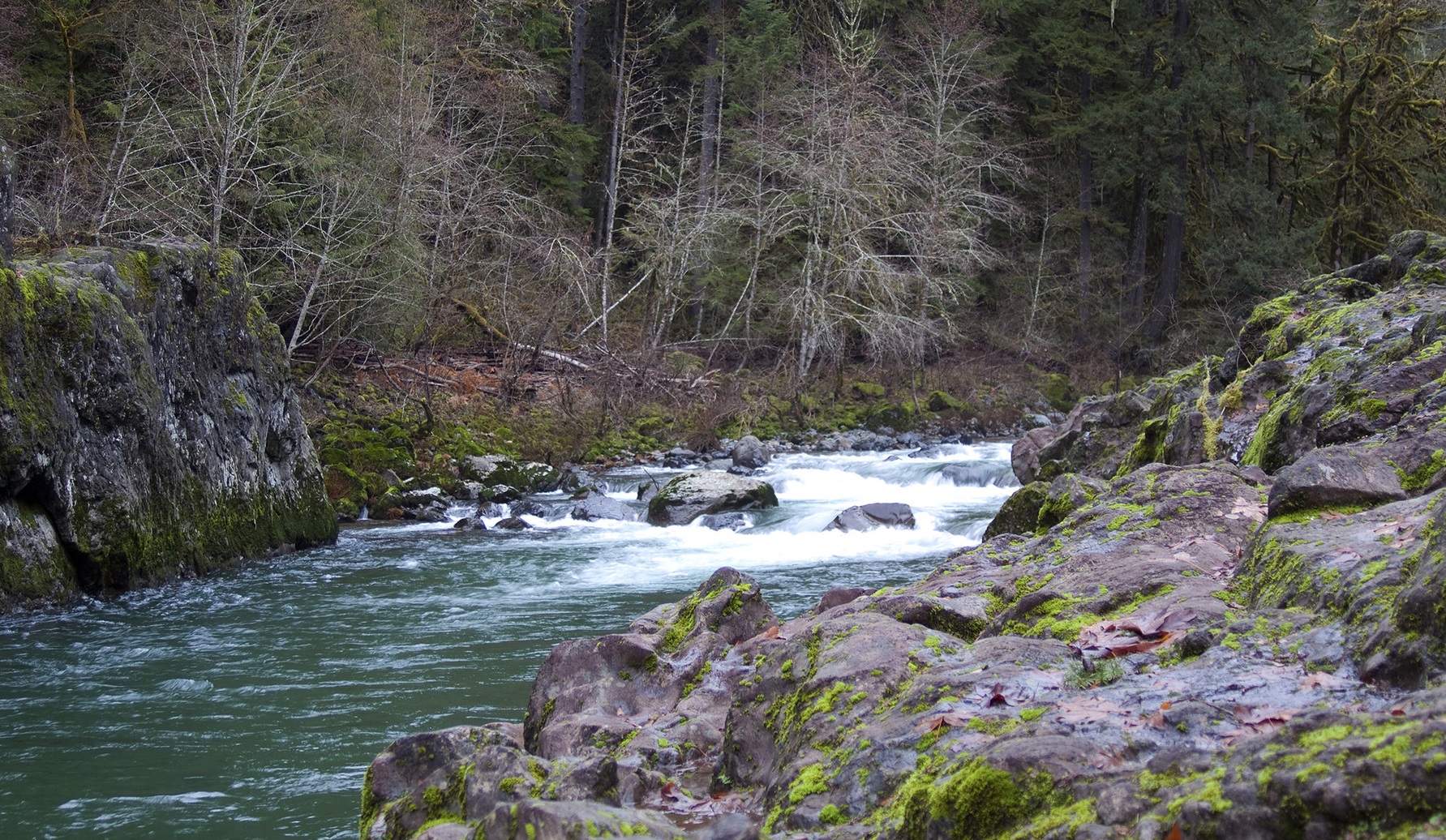 Elkhorn Creek Wild and Scenic River