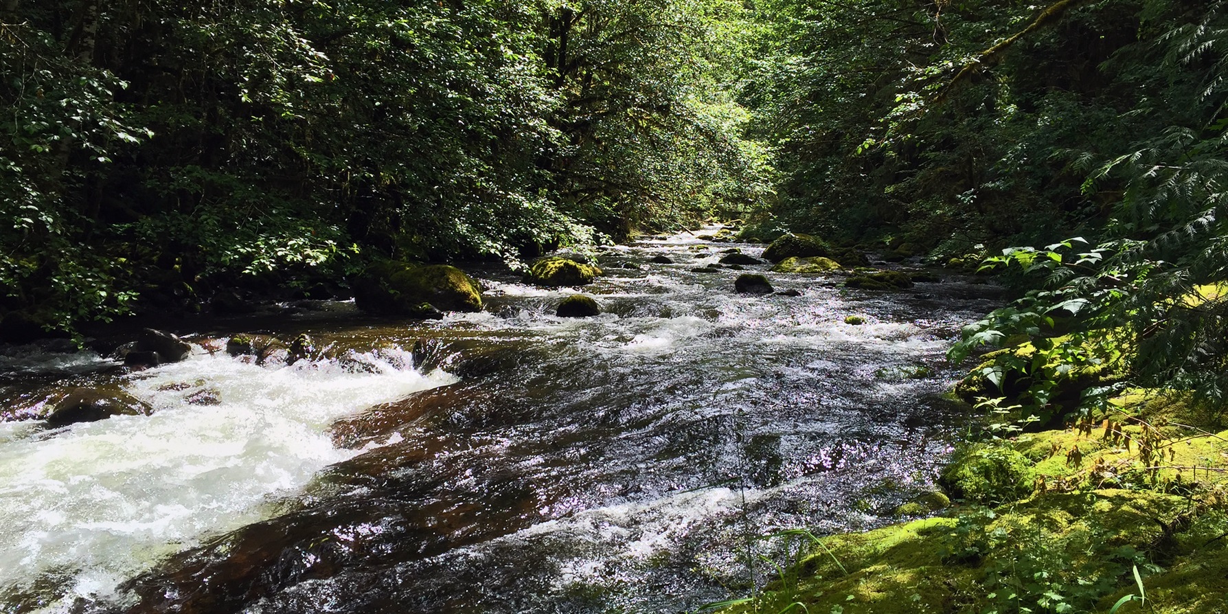 Elkhorn Creek Wild and Scenic River