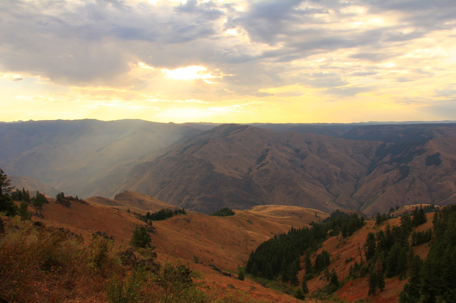  Morning light in Hells Canyon Wilderness