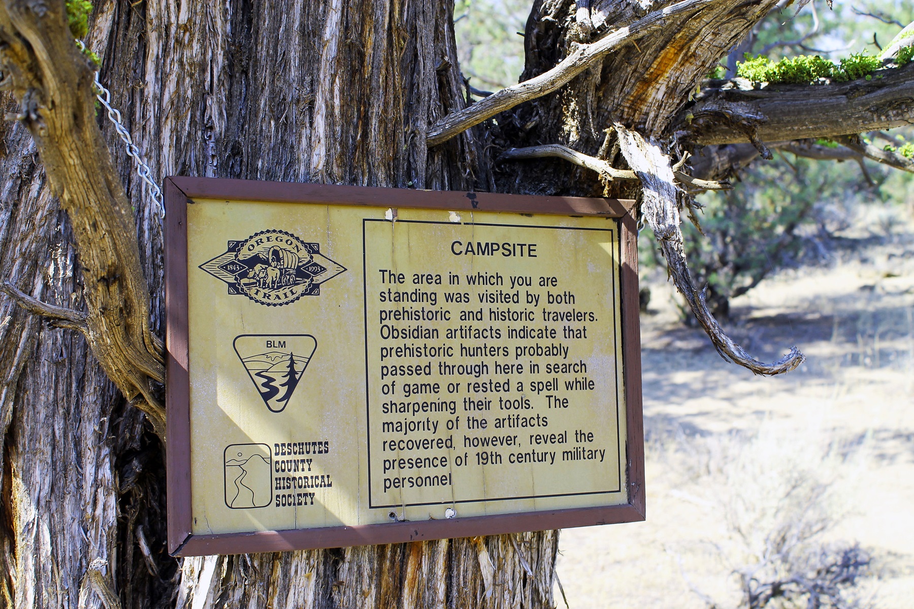 Interpretive sign