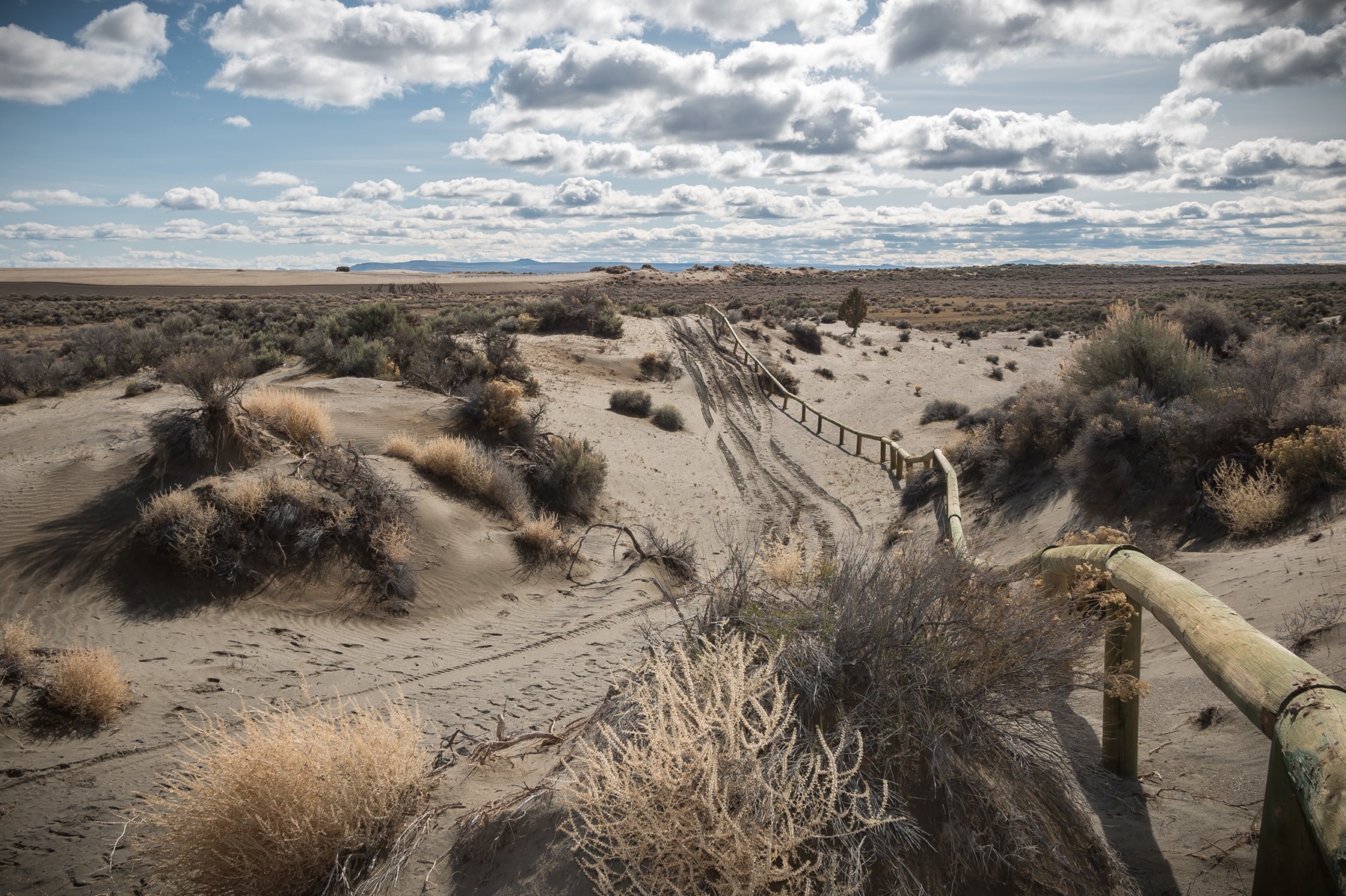 OHV trailside view of Christmas Valley Sand Dunes