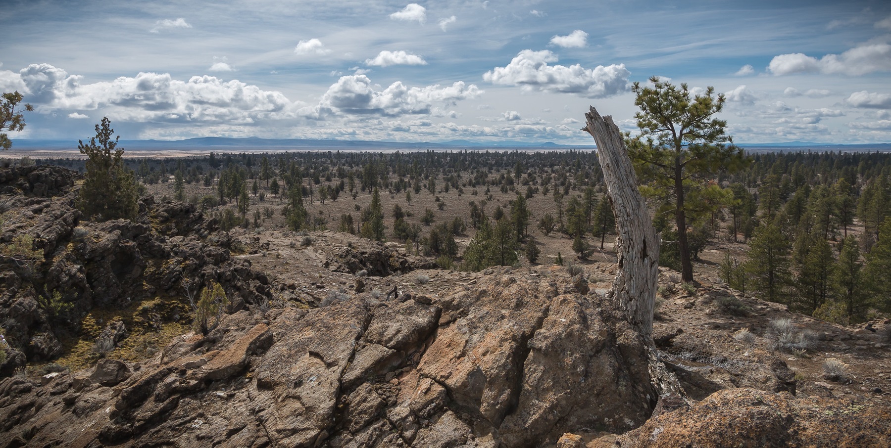 Lost Forest from the top of Sand Rock