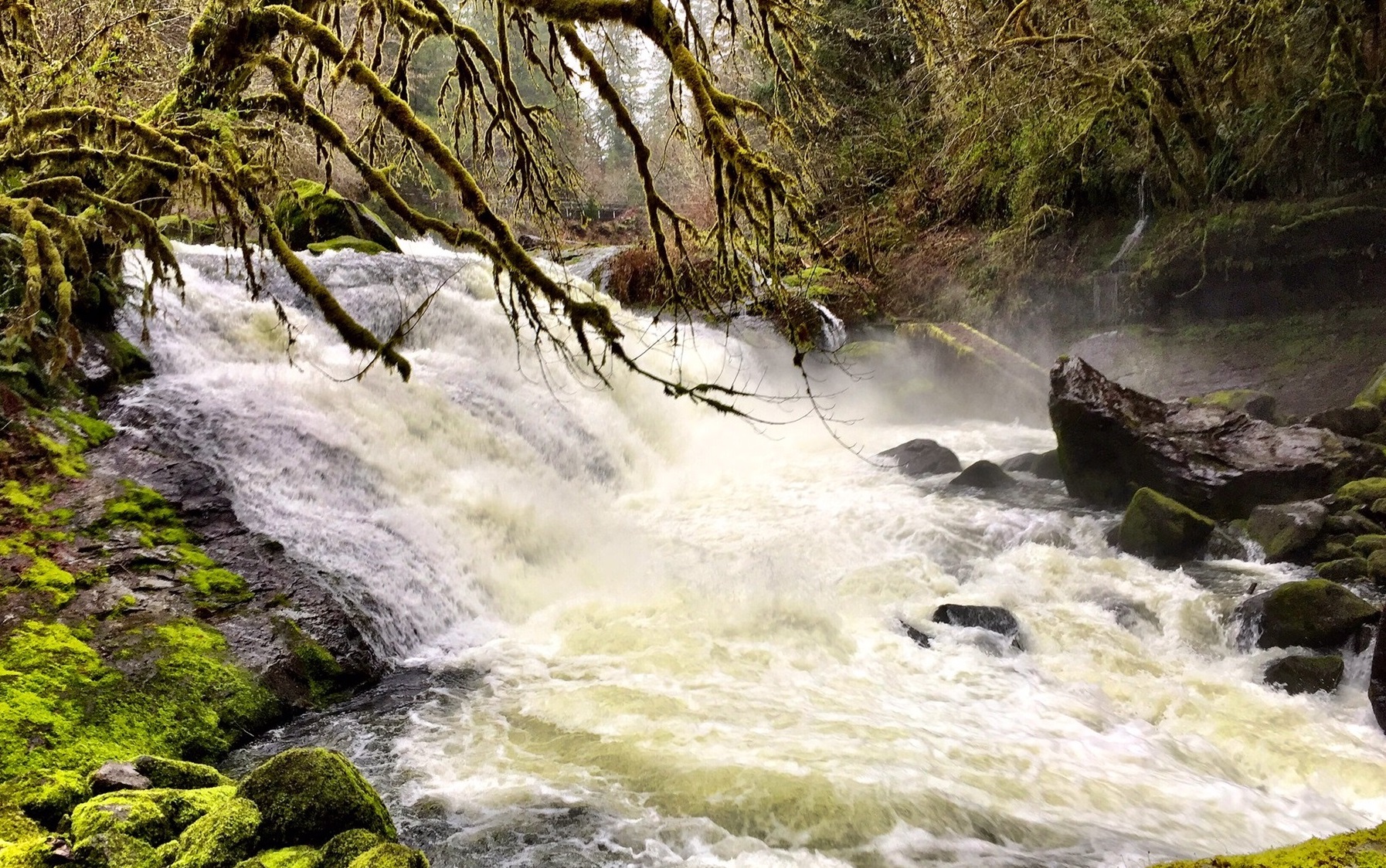 Lake Creek Falls