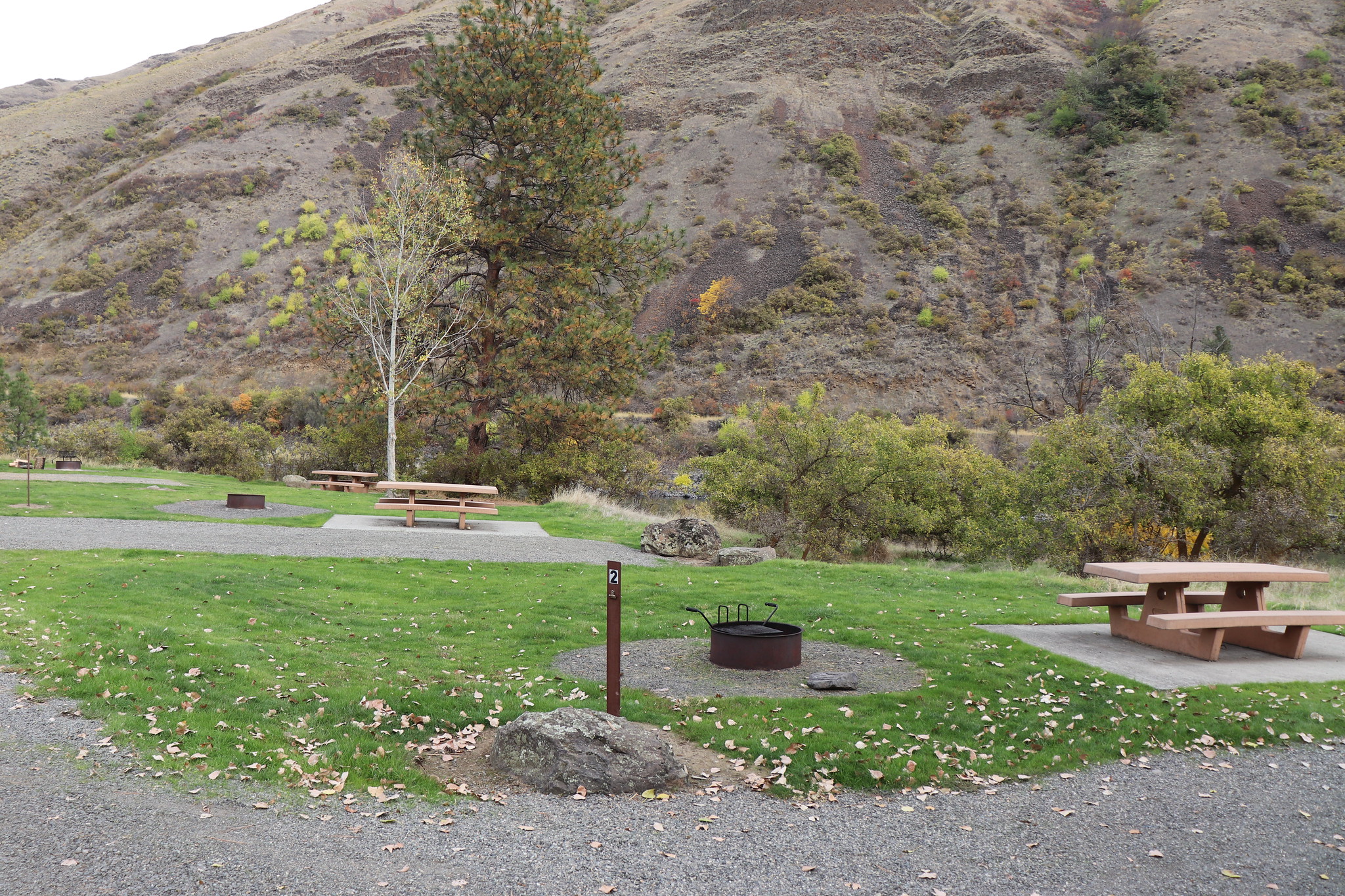 Camp site at Hammer Creek