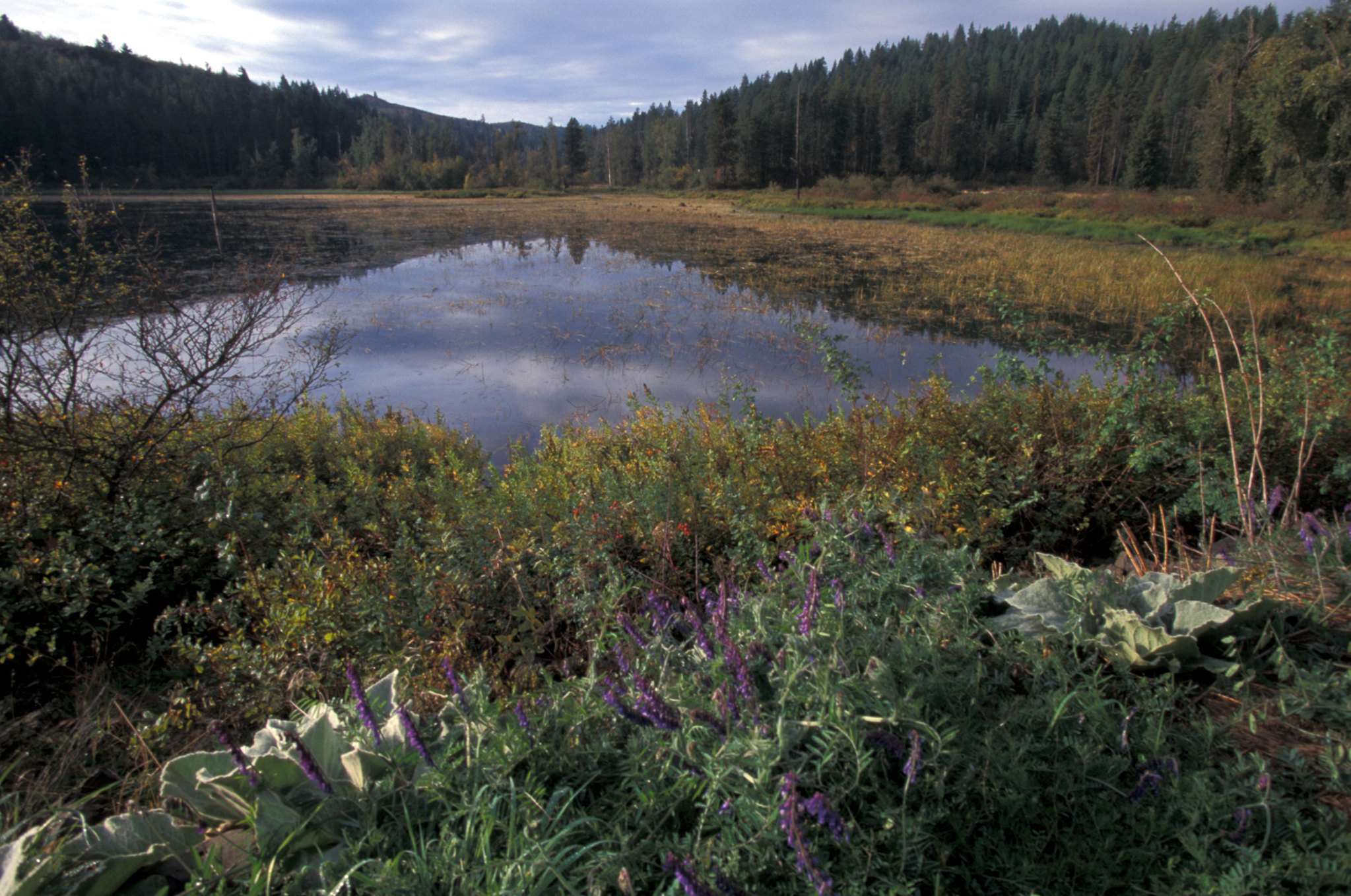Gamlin Lake