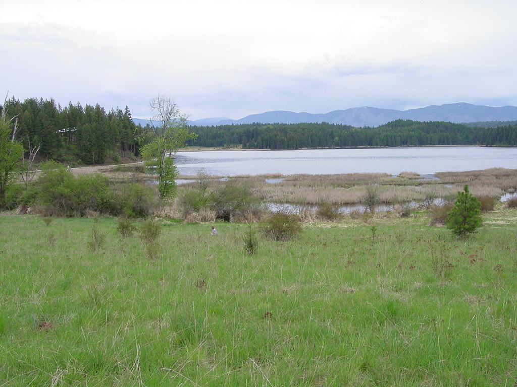 Gamlin Lake