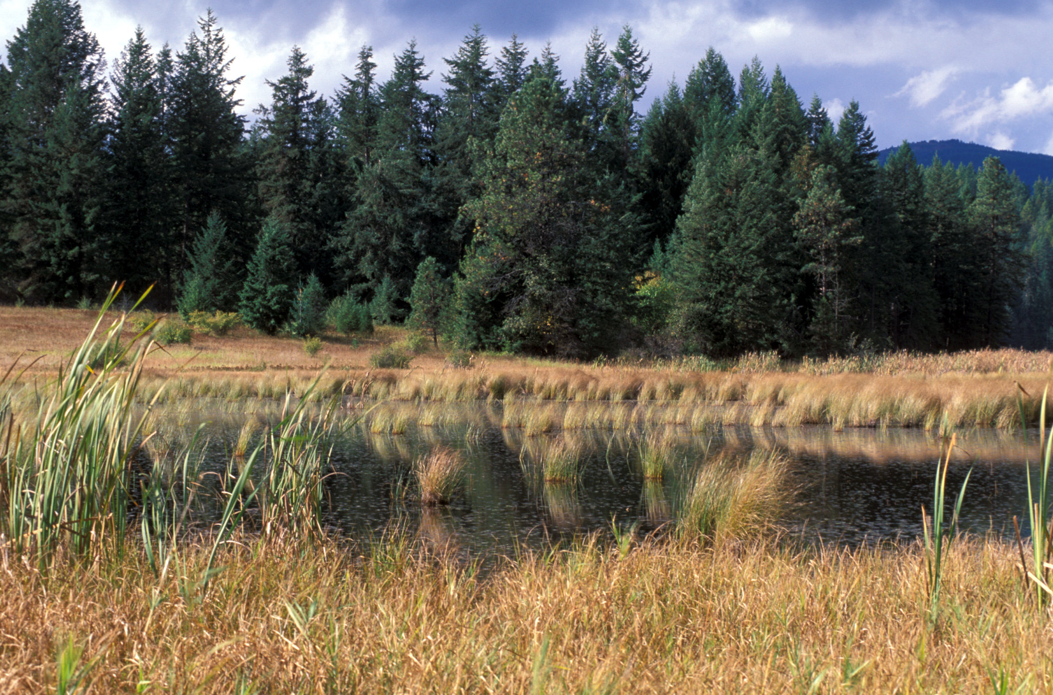 Gamlin Lake