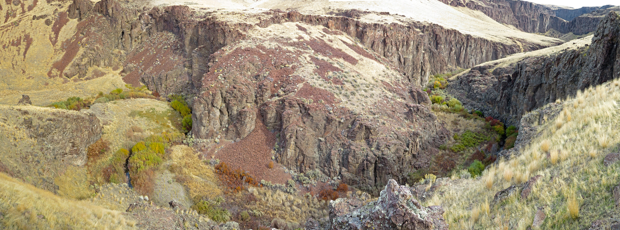 Big Jacks Creek Wilderness
